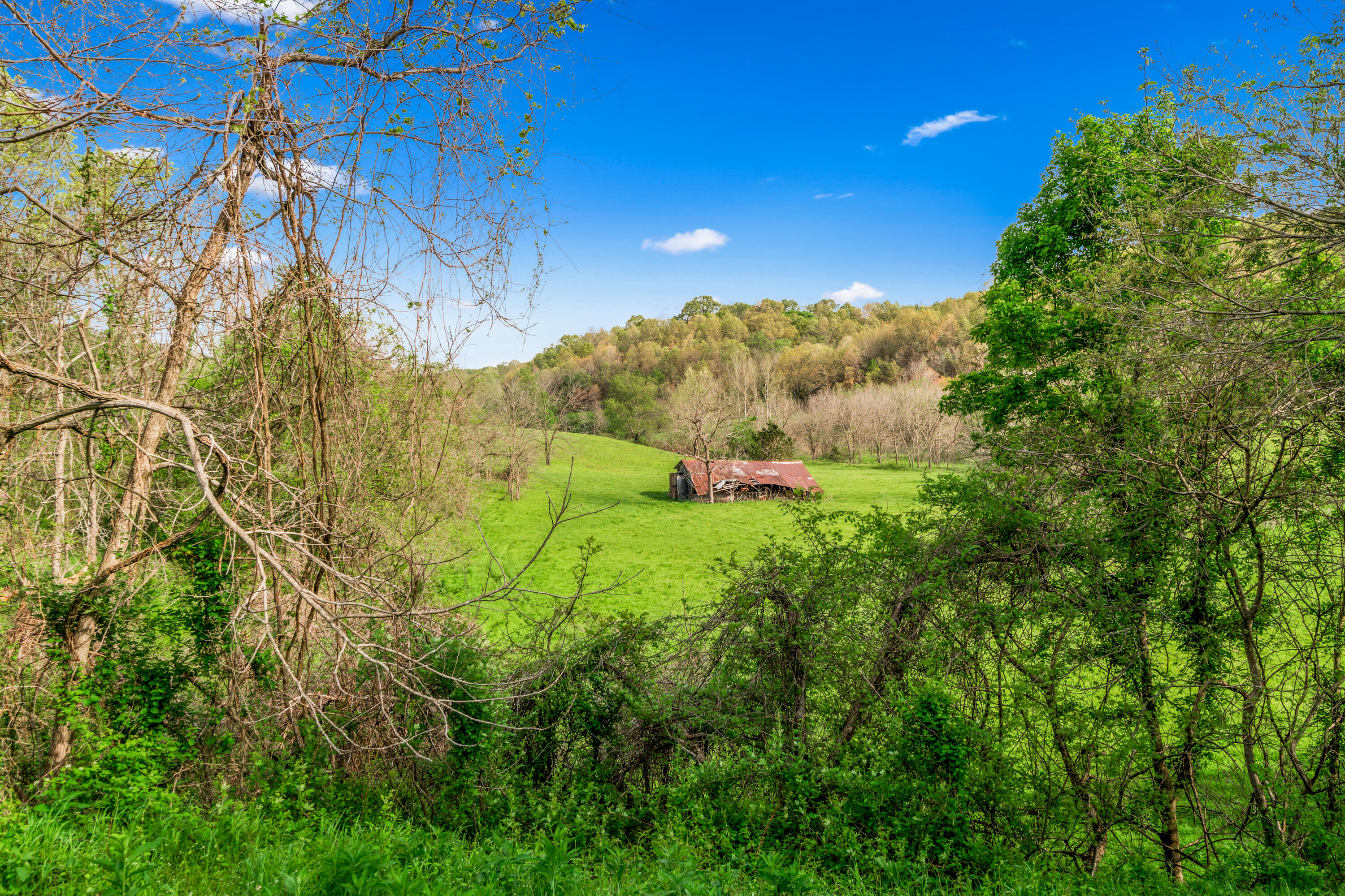 324 Hagee Road Property Photo 41