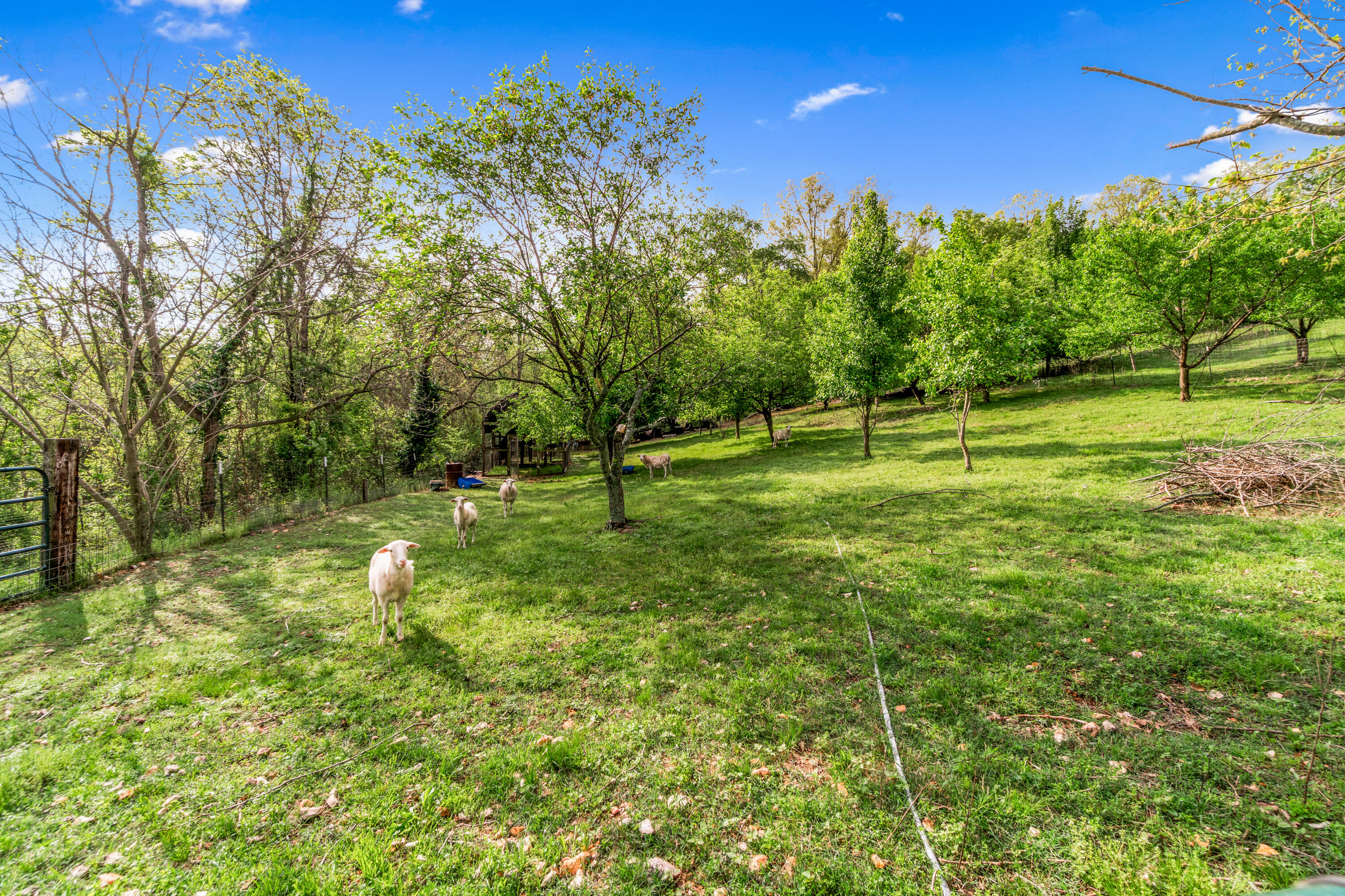 324 Hagee Road Property Photo 45