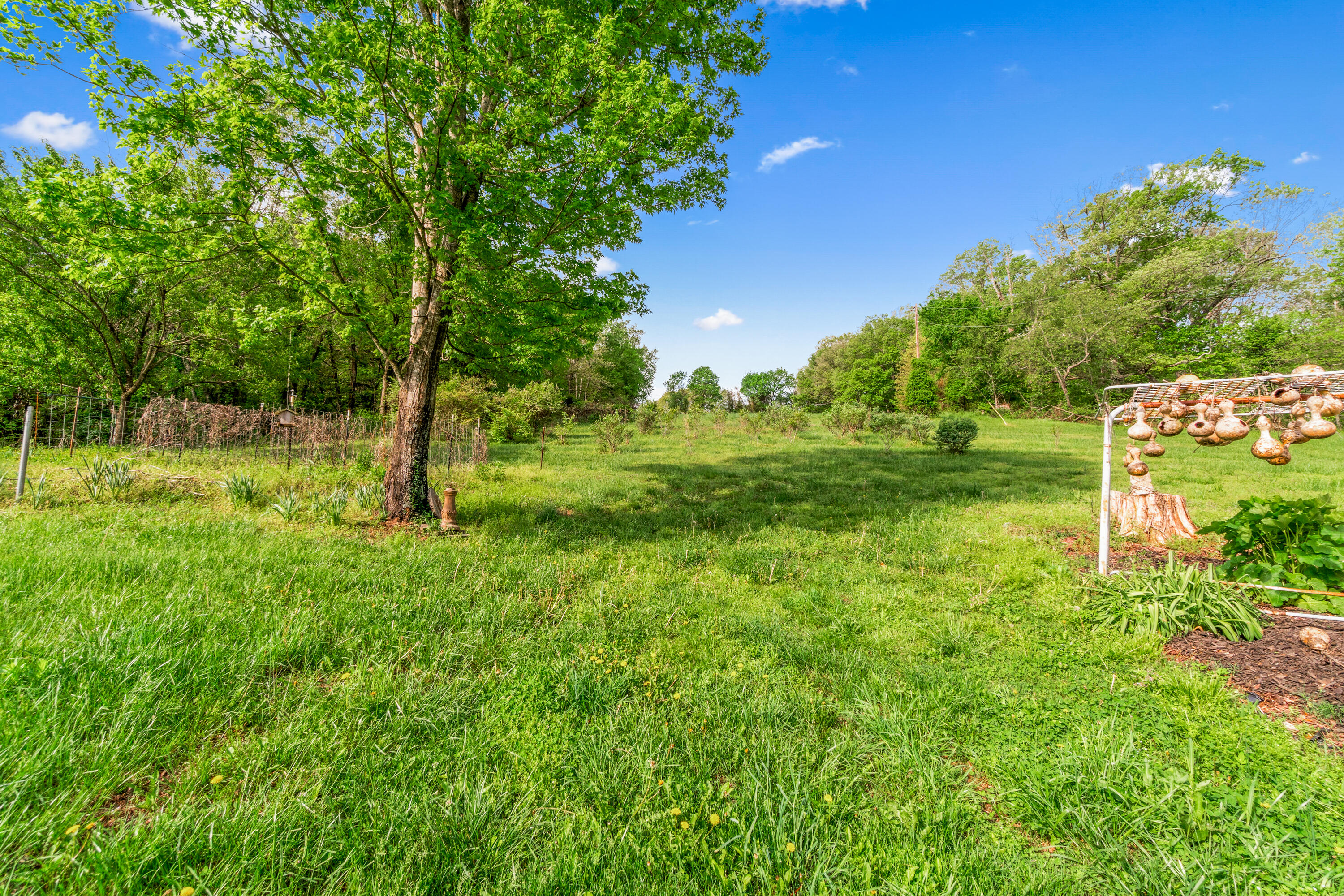 324 Hagee Road Property Photo 47