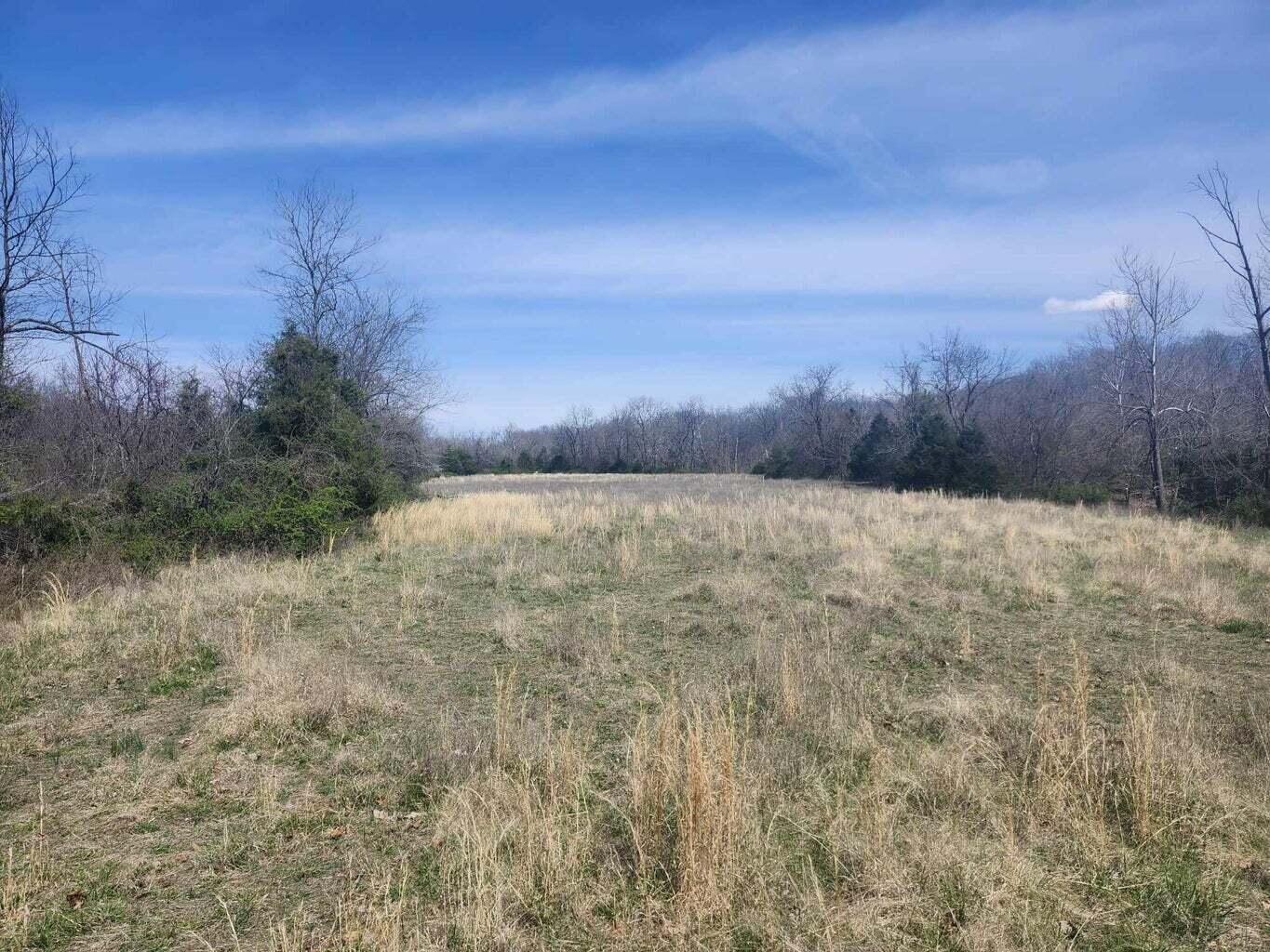 000 Co Road 7320 Property Photo 5