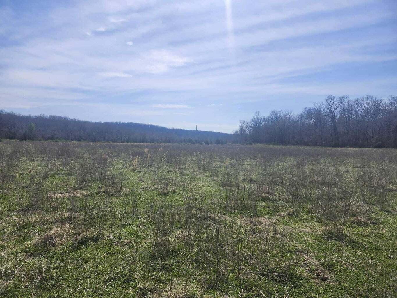 000 Co Road 7320 Property Photo 22