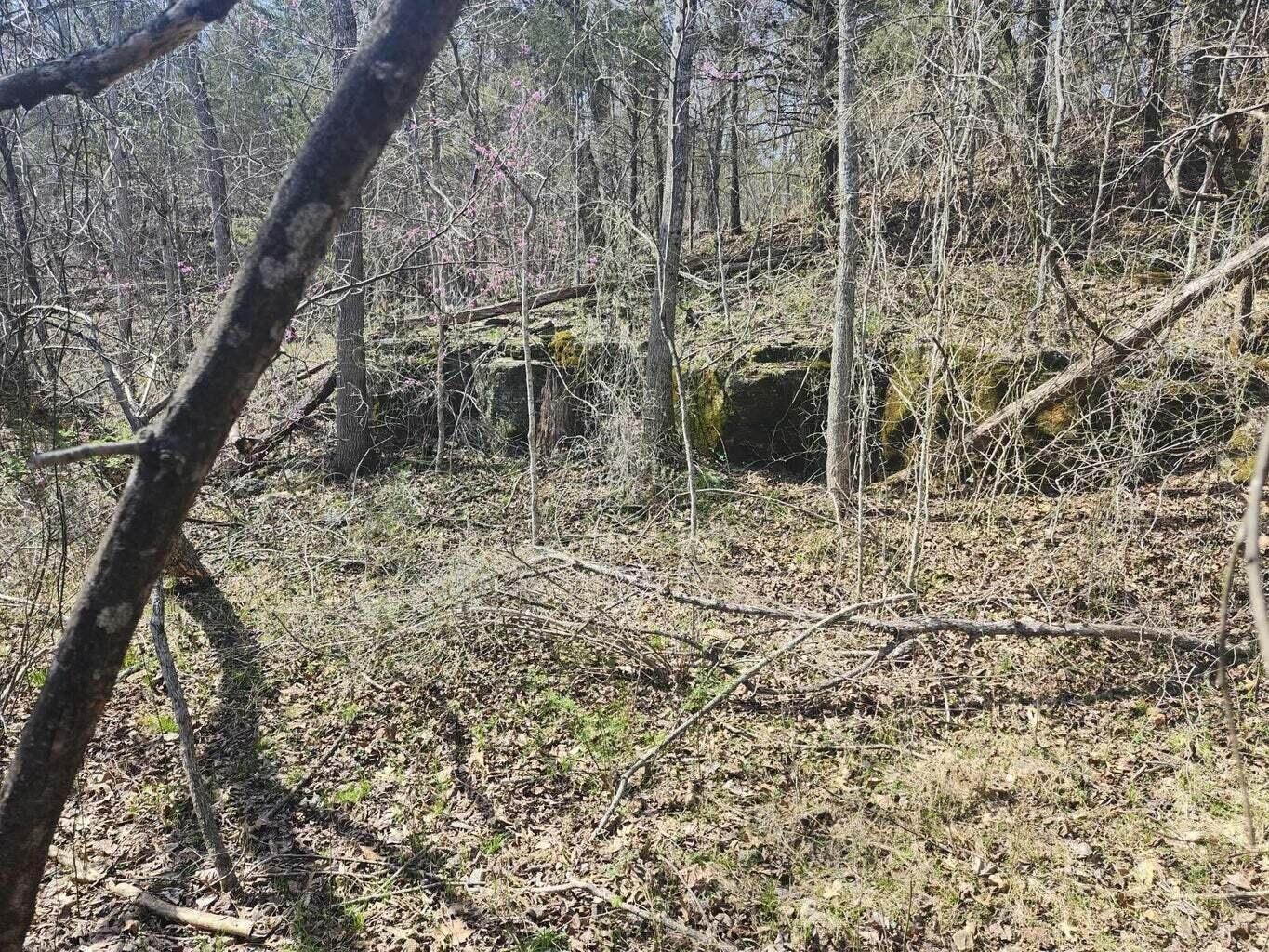 000 Co Road 7320 Property Photo 28