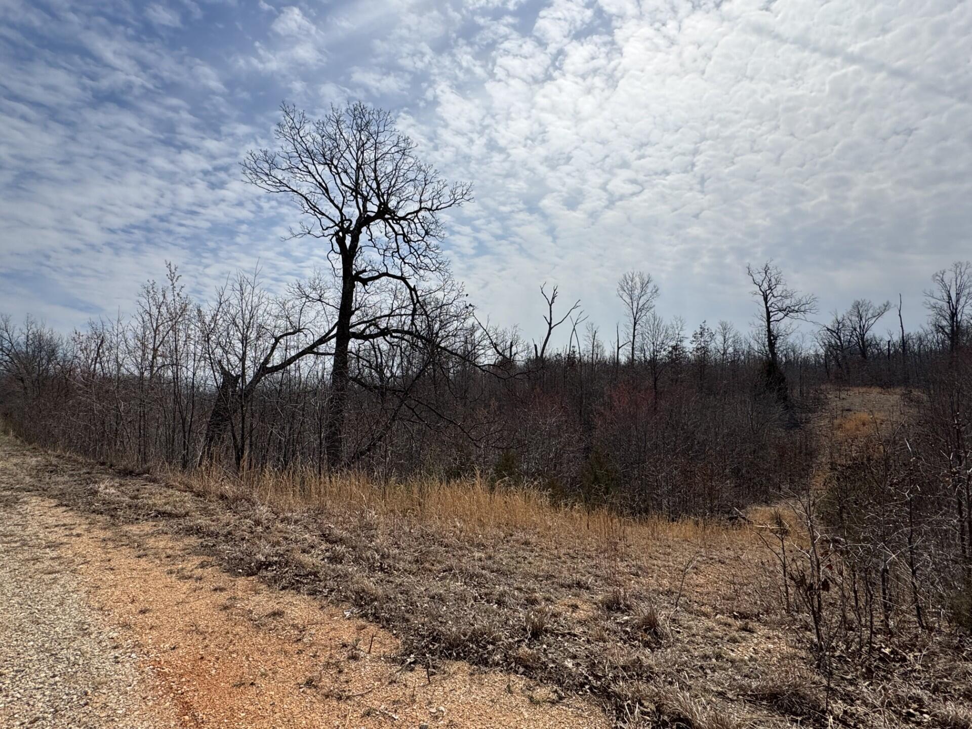 000 Timber Circle Property Photo