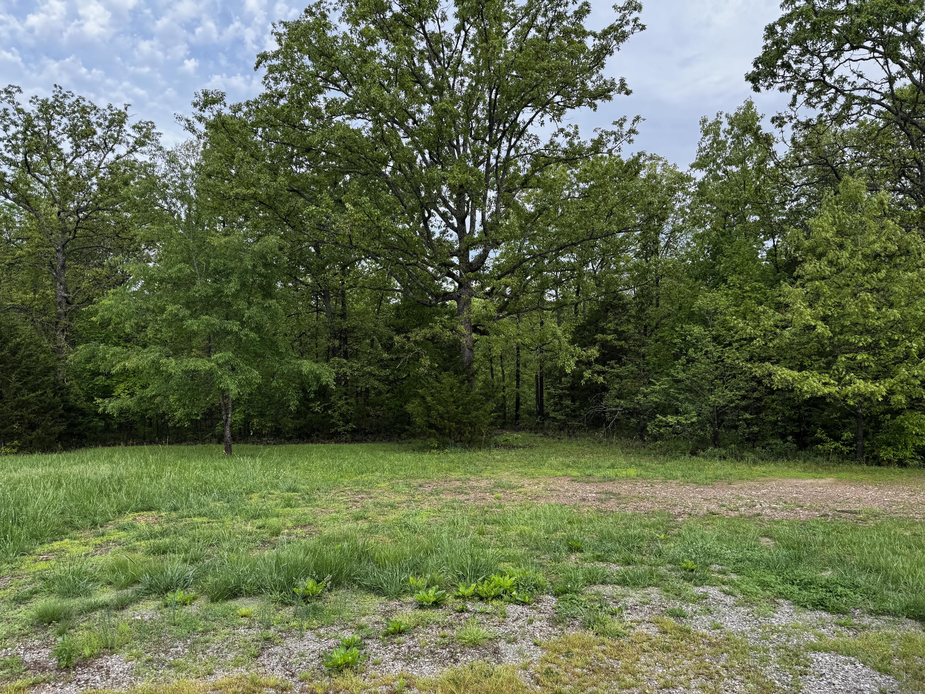 9881 County Road 6970 Property Photo 5
