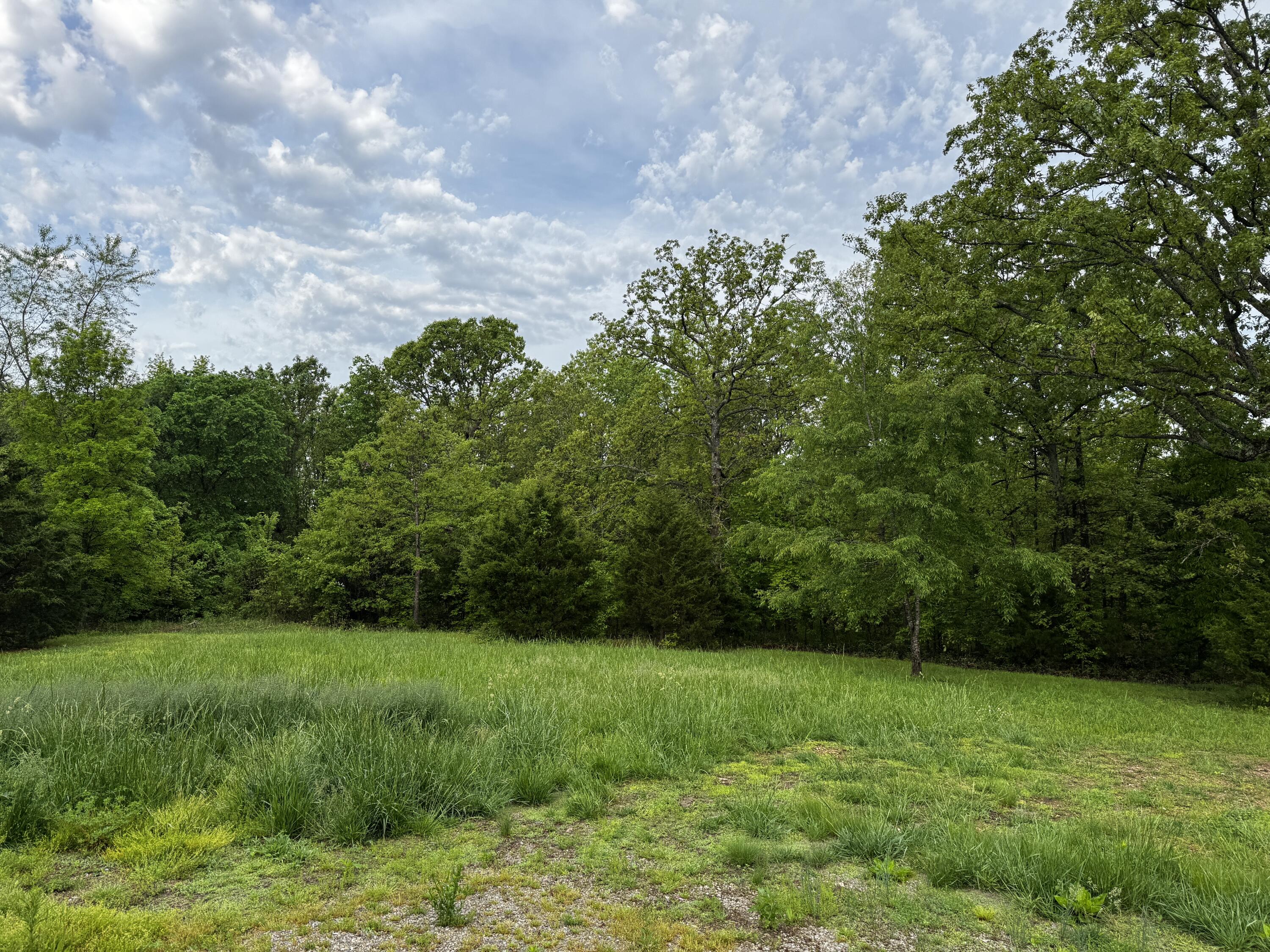 9881 County Road 6970 Property Photo 6