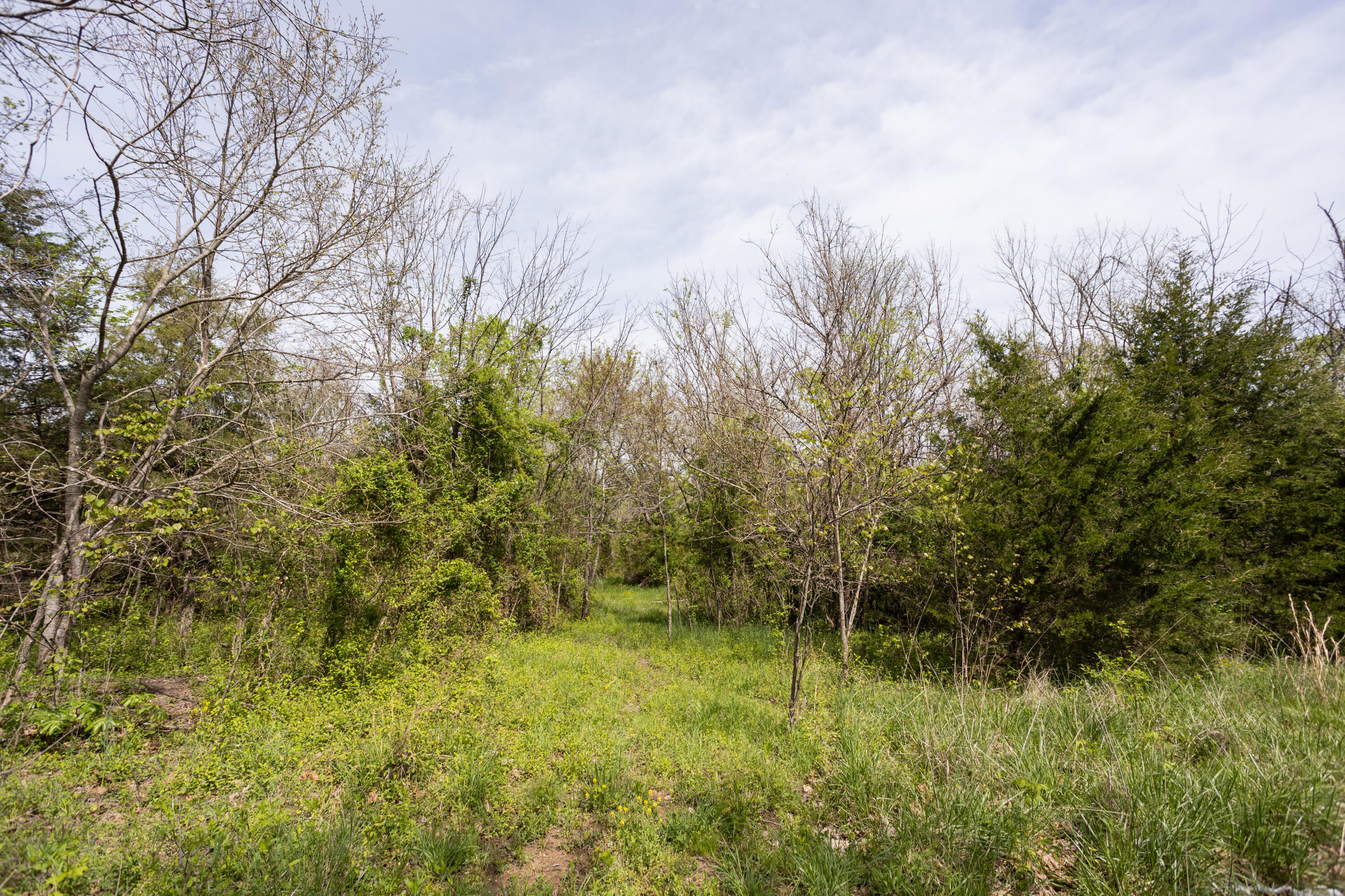 4940 Sellers Ford Road Property Photo 4