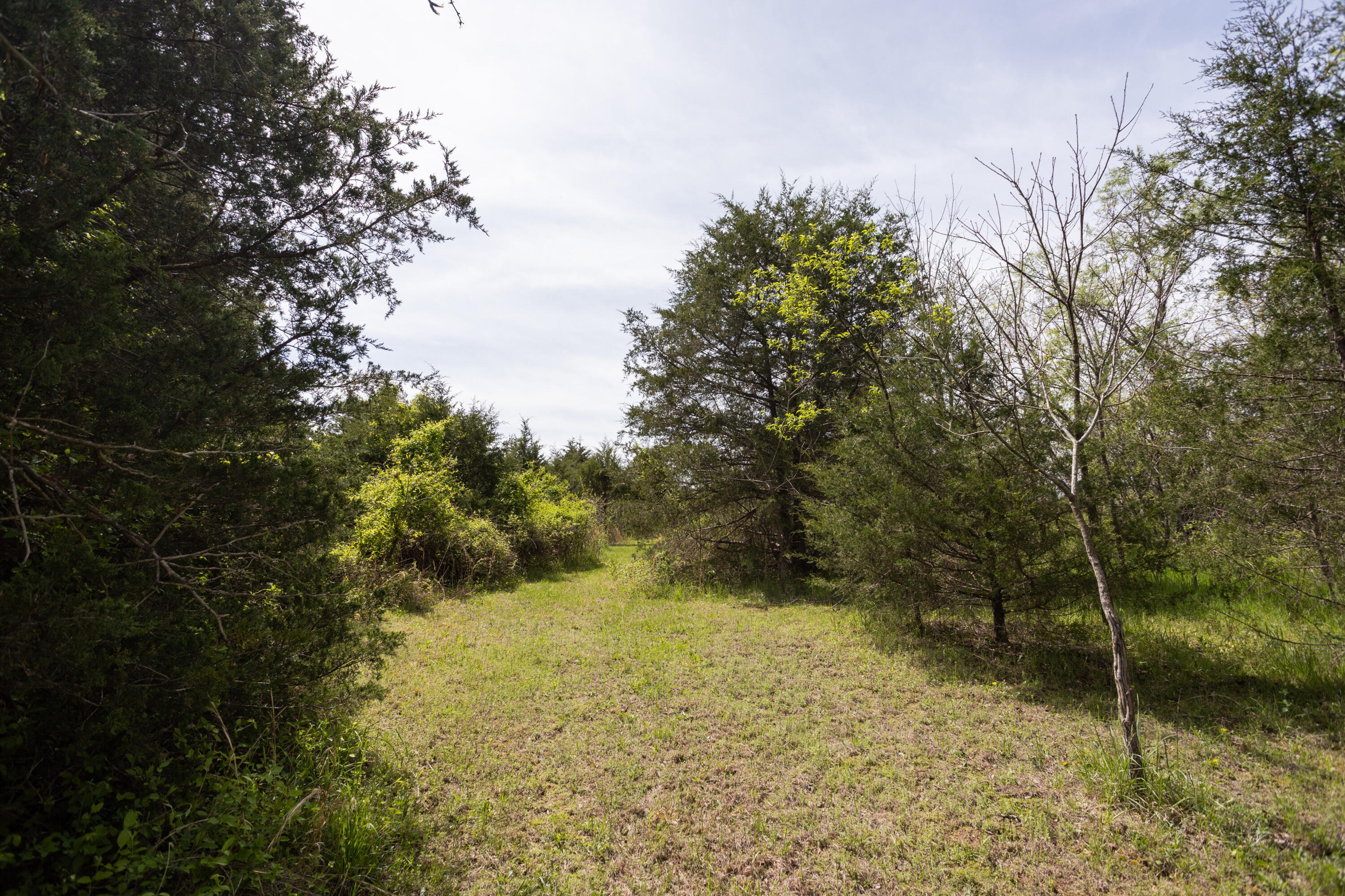 4940 Sellers Ford Road Property Photo 5