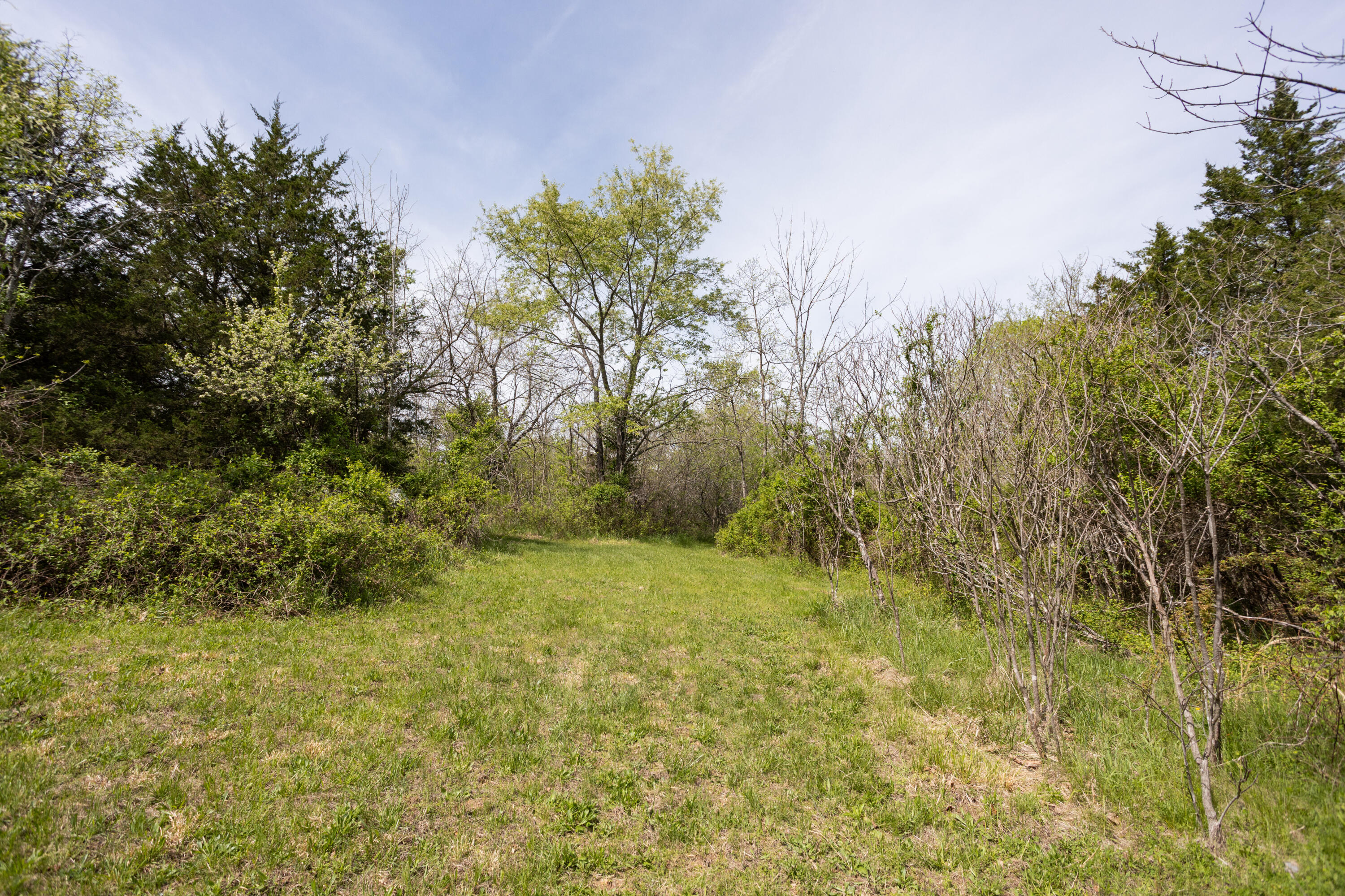 4940 Sellers Ford Road Property Photo 6
