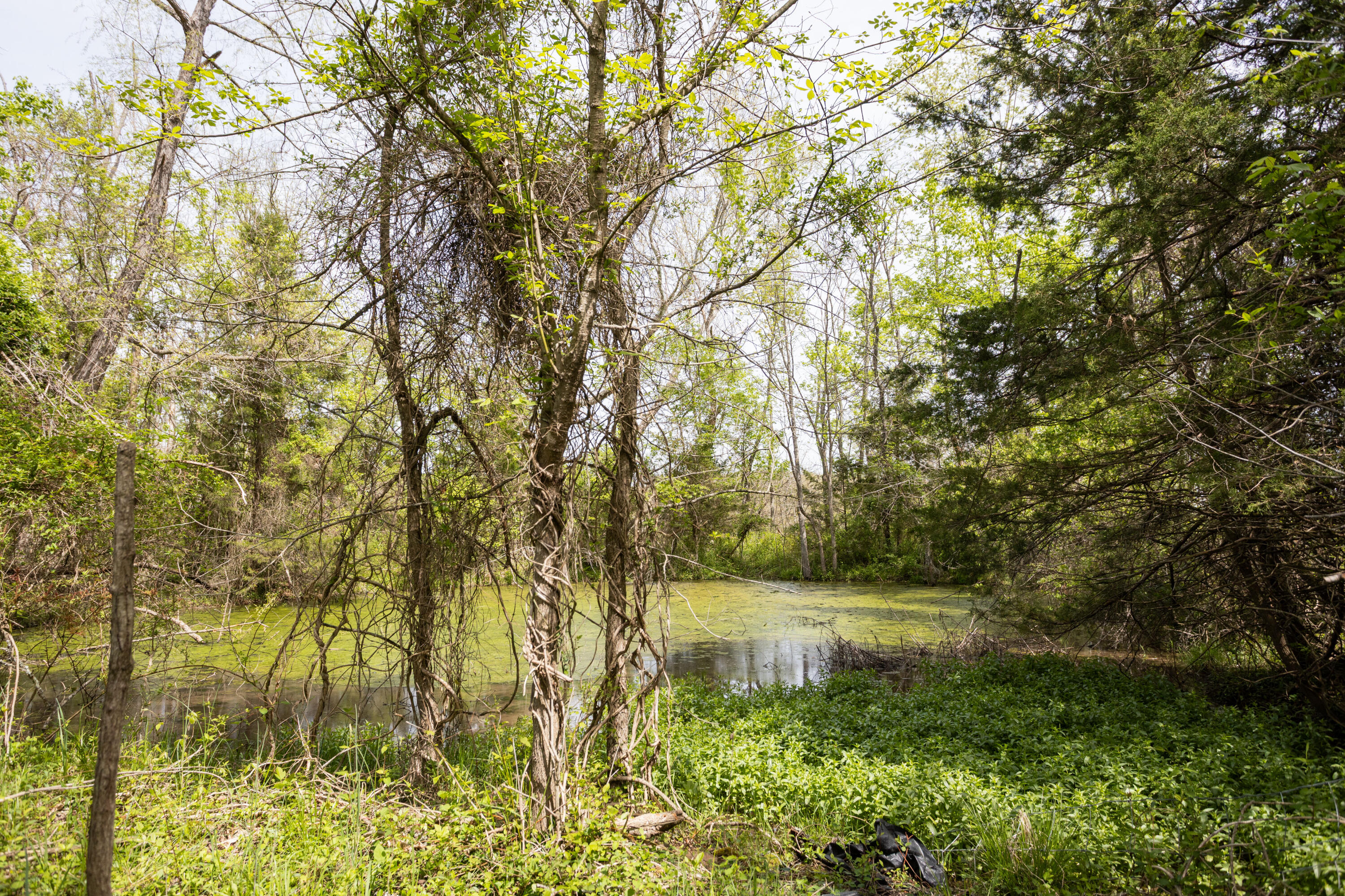 4940 Sellers Ford Road Property Photo 7