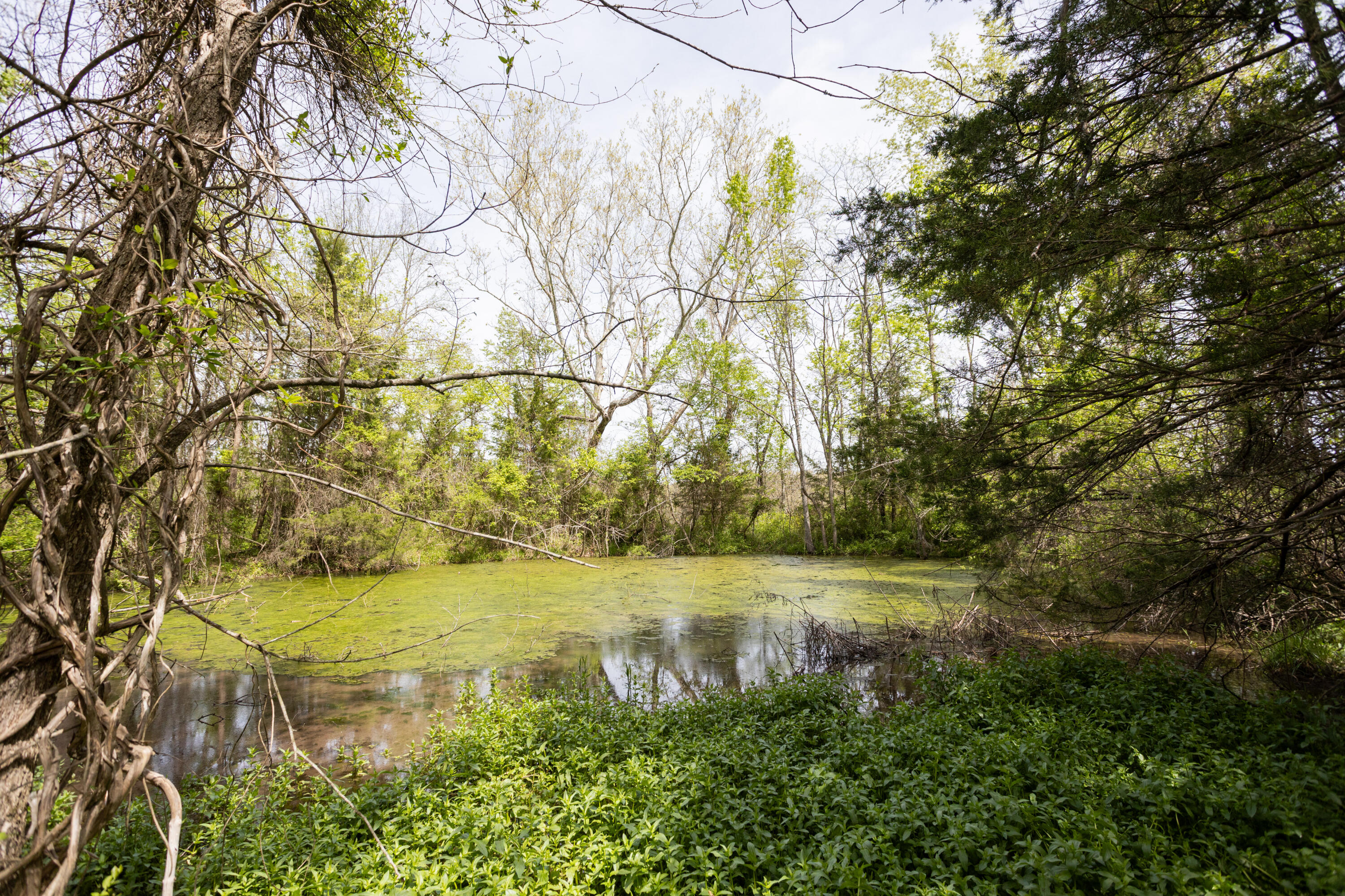 4940 Sellers Ford Road Property Photo 8