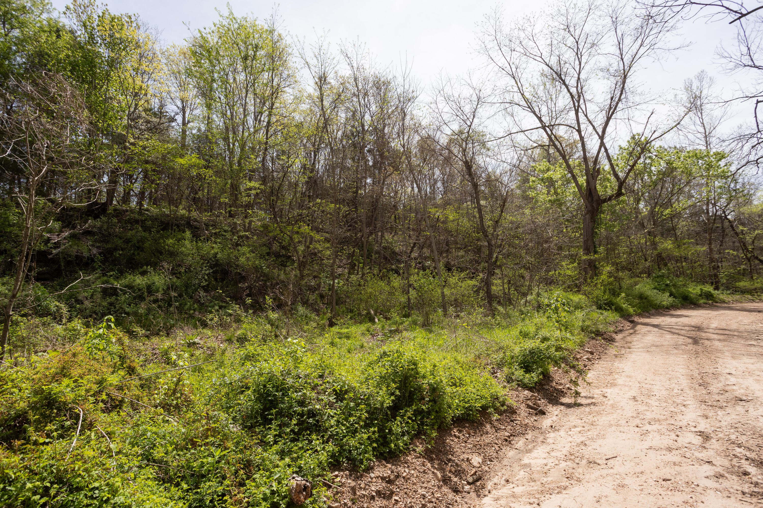 4940 Sellers Ford Road Property Photo 12