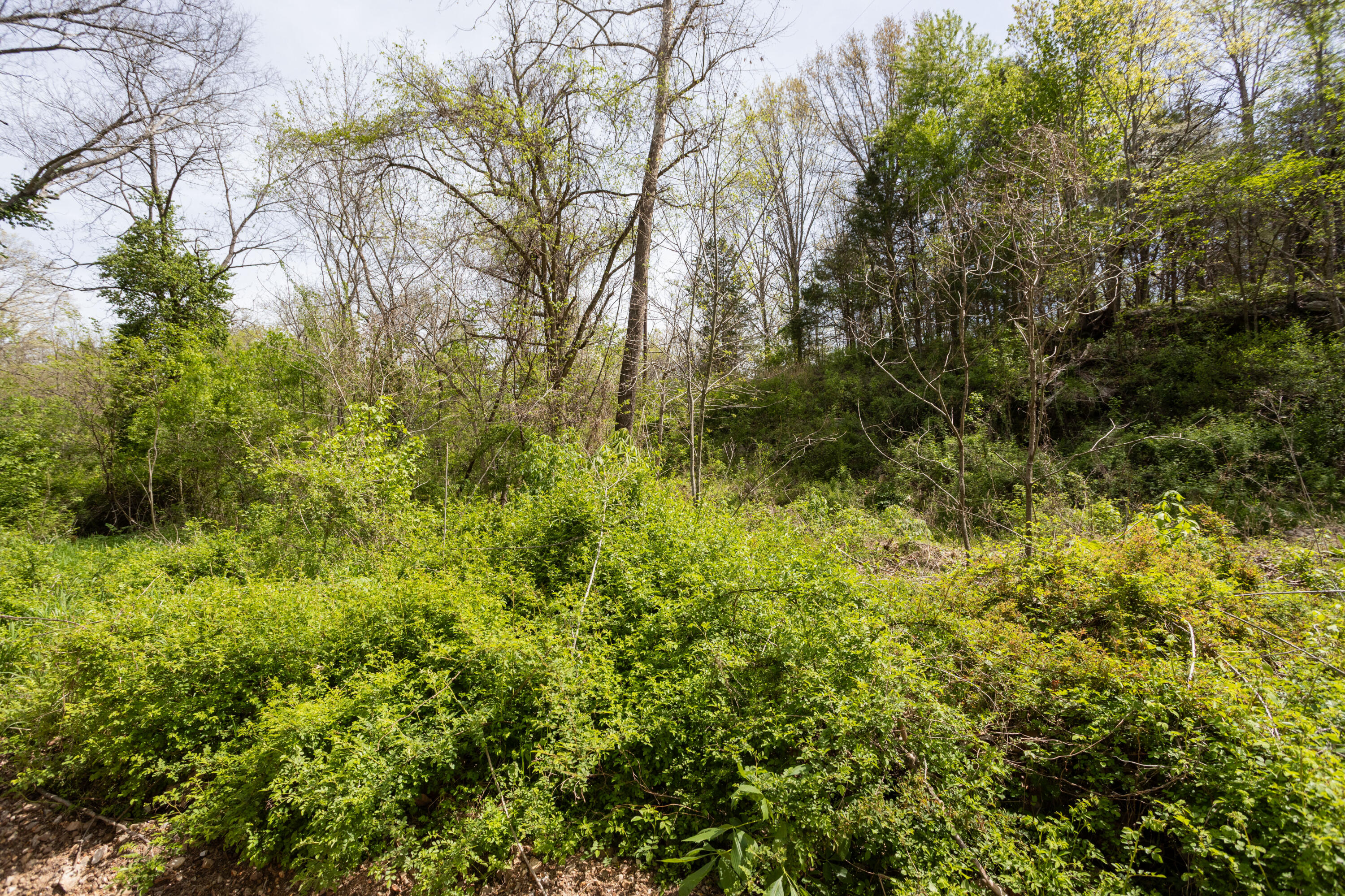 4940 Sellers Ford Road Property Photo 13