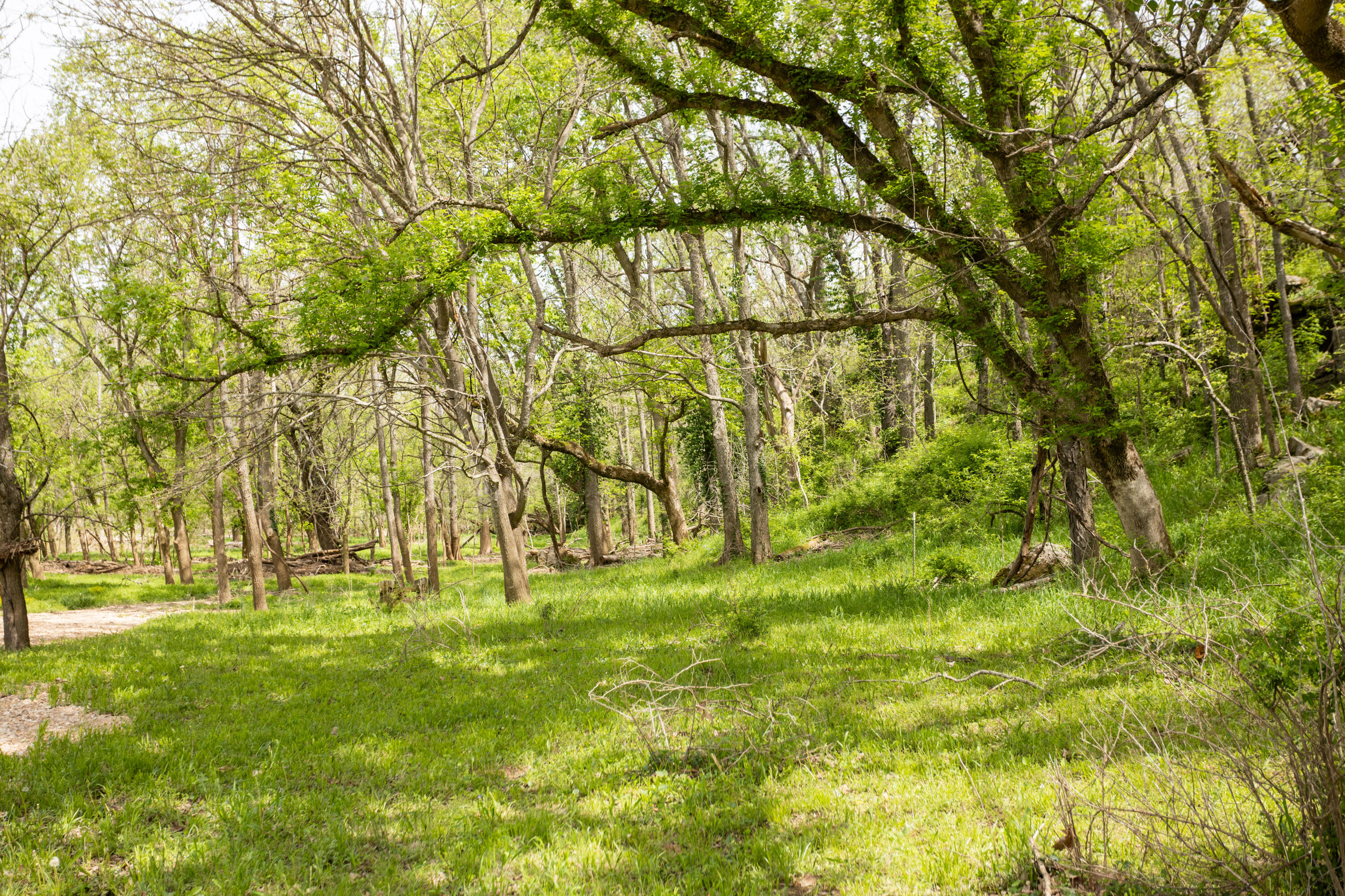 4940 Sellers Ford Road Property Photo 16