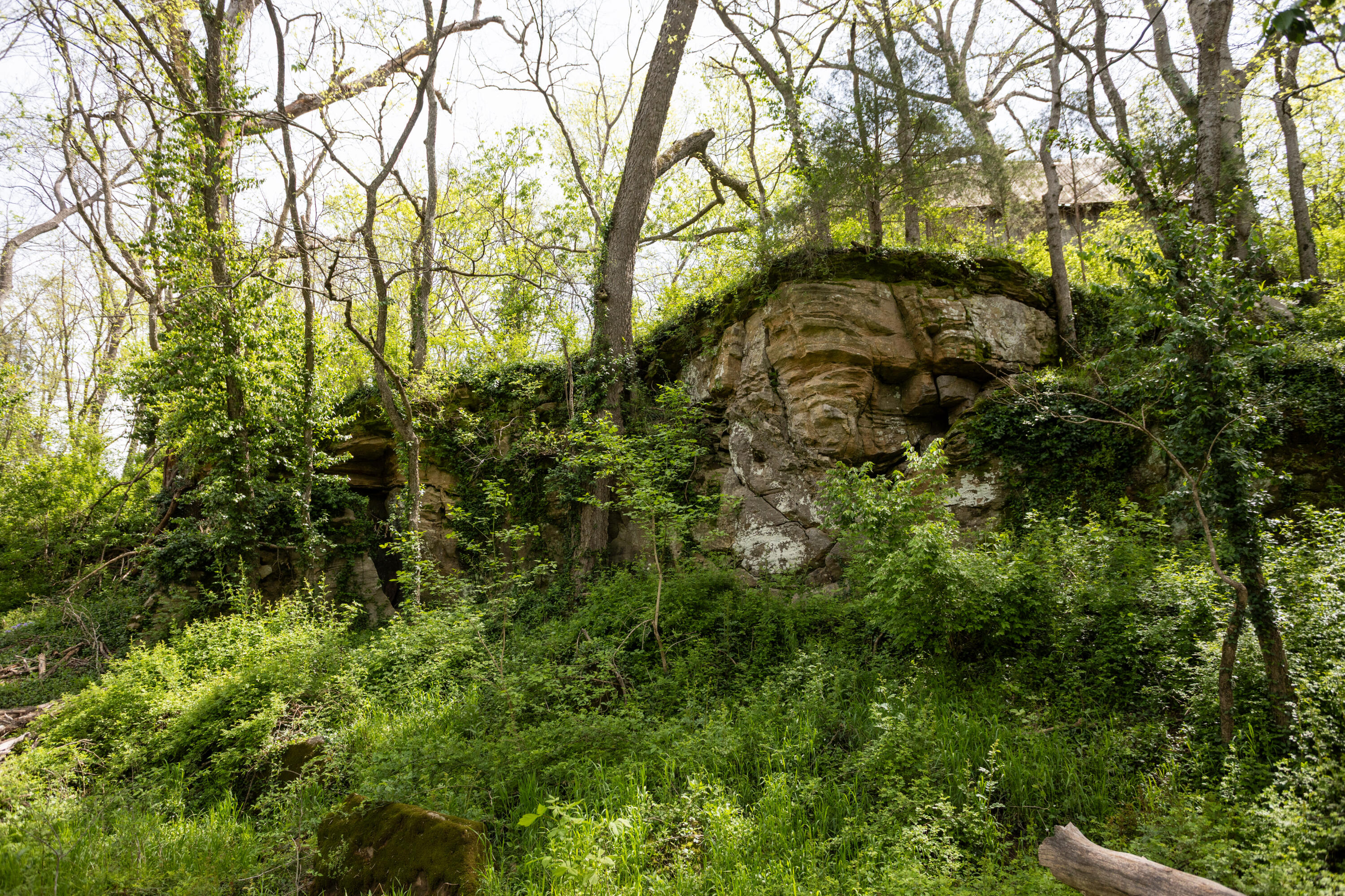 4940 Sellers Ford Road Property Photo 17
