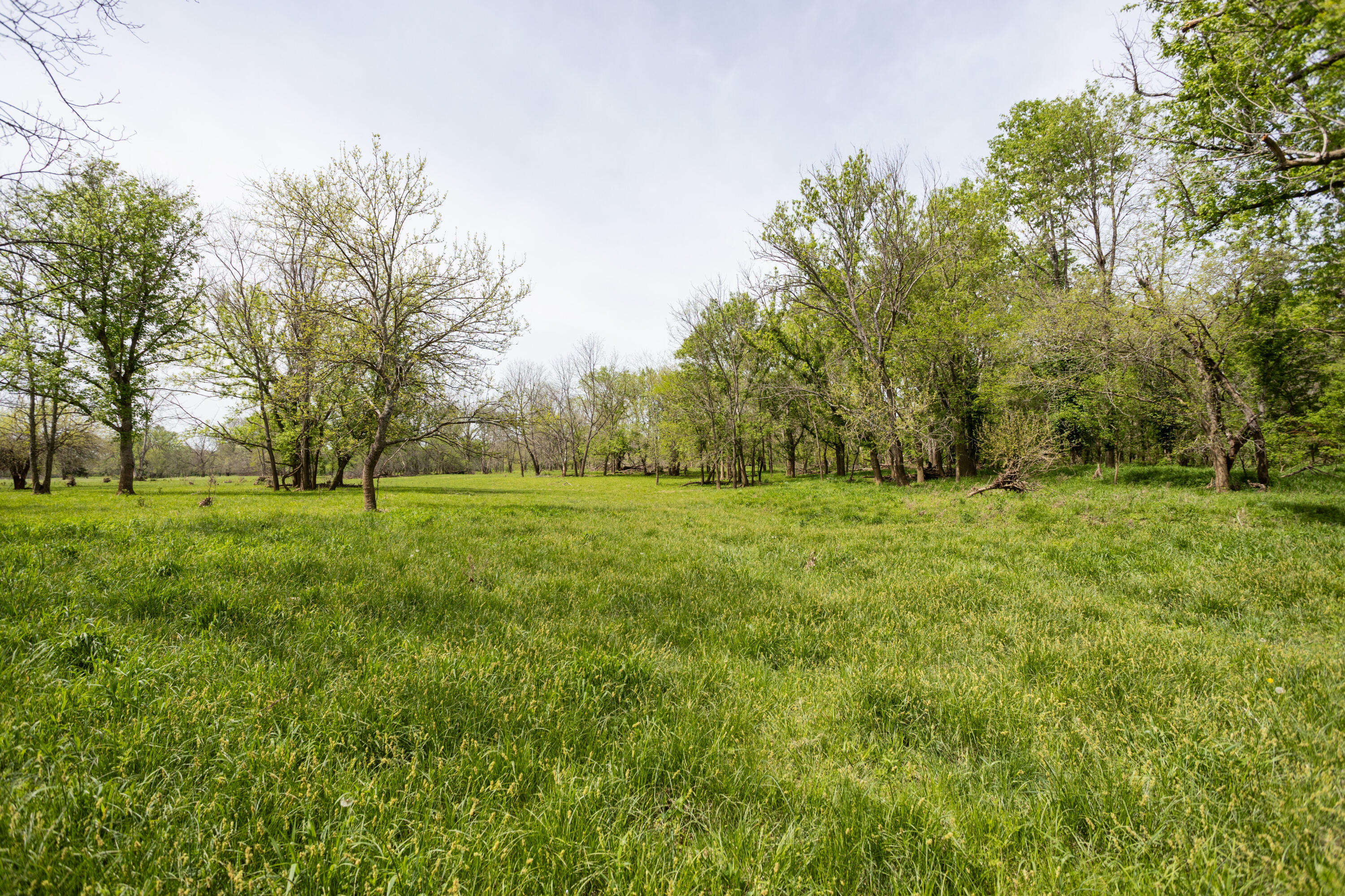 4940 Sellers Ford Road Property Photo 18