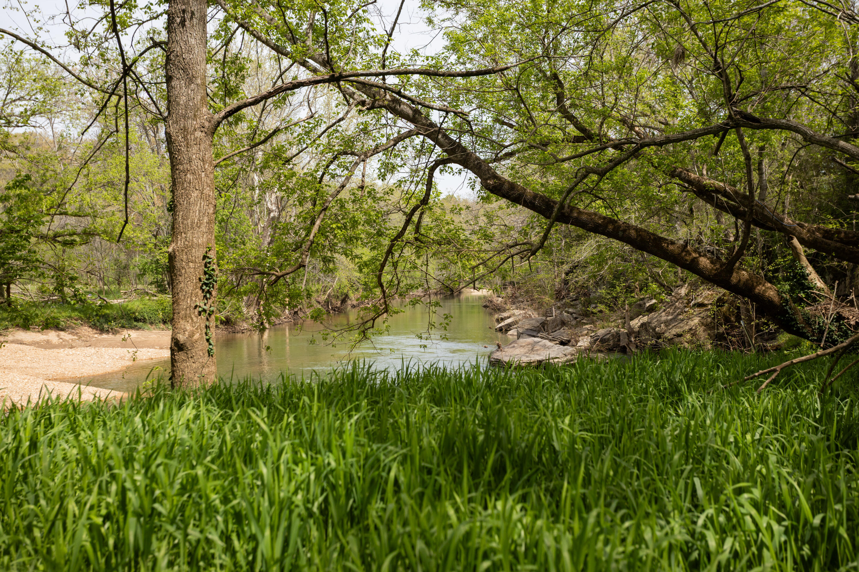 4940 Sellers Ford Road Property Photo 21