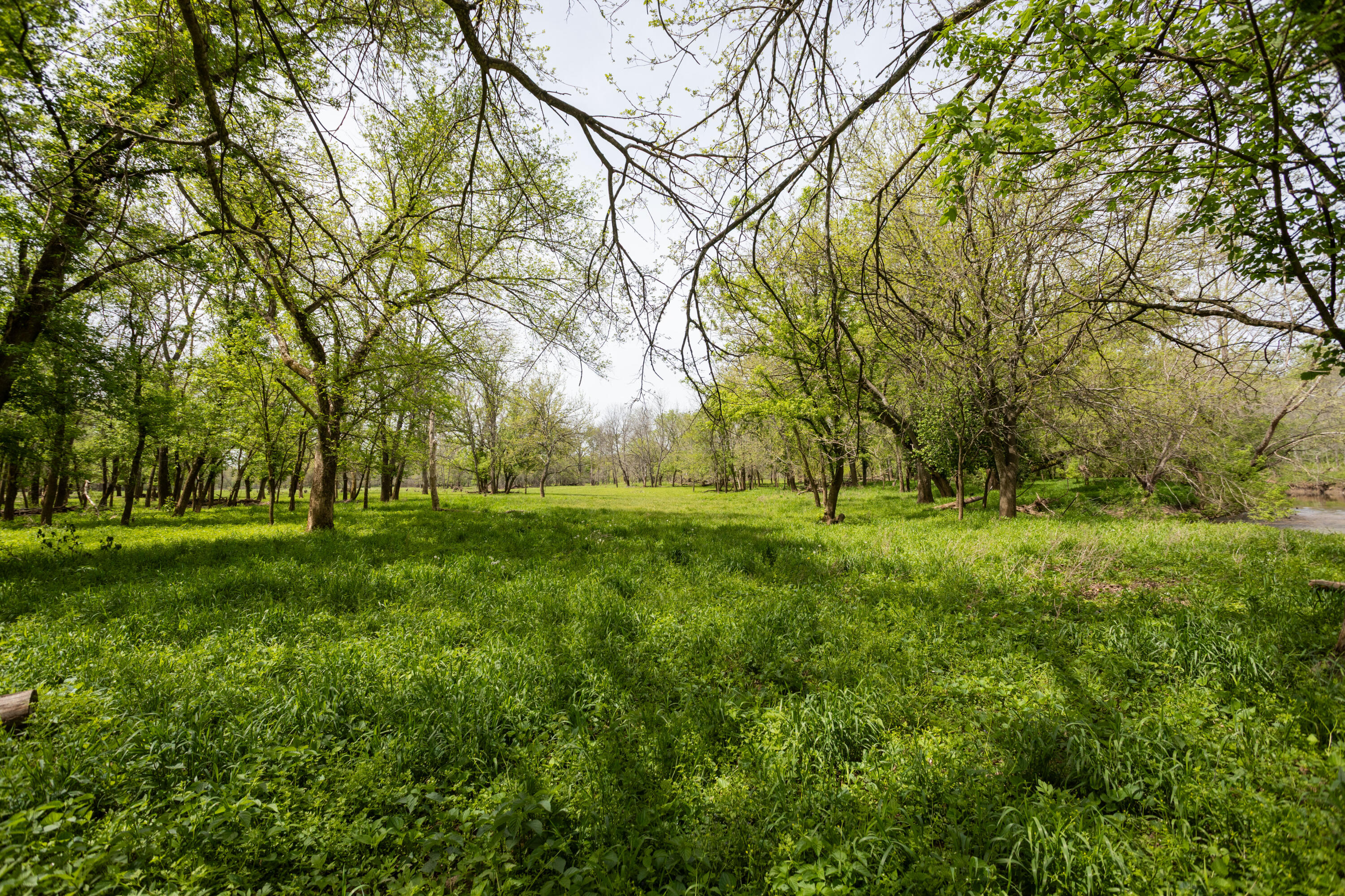 4940 Sellers Ford Road Property Photo 22