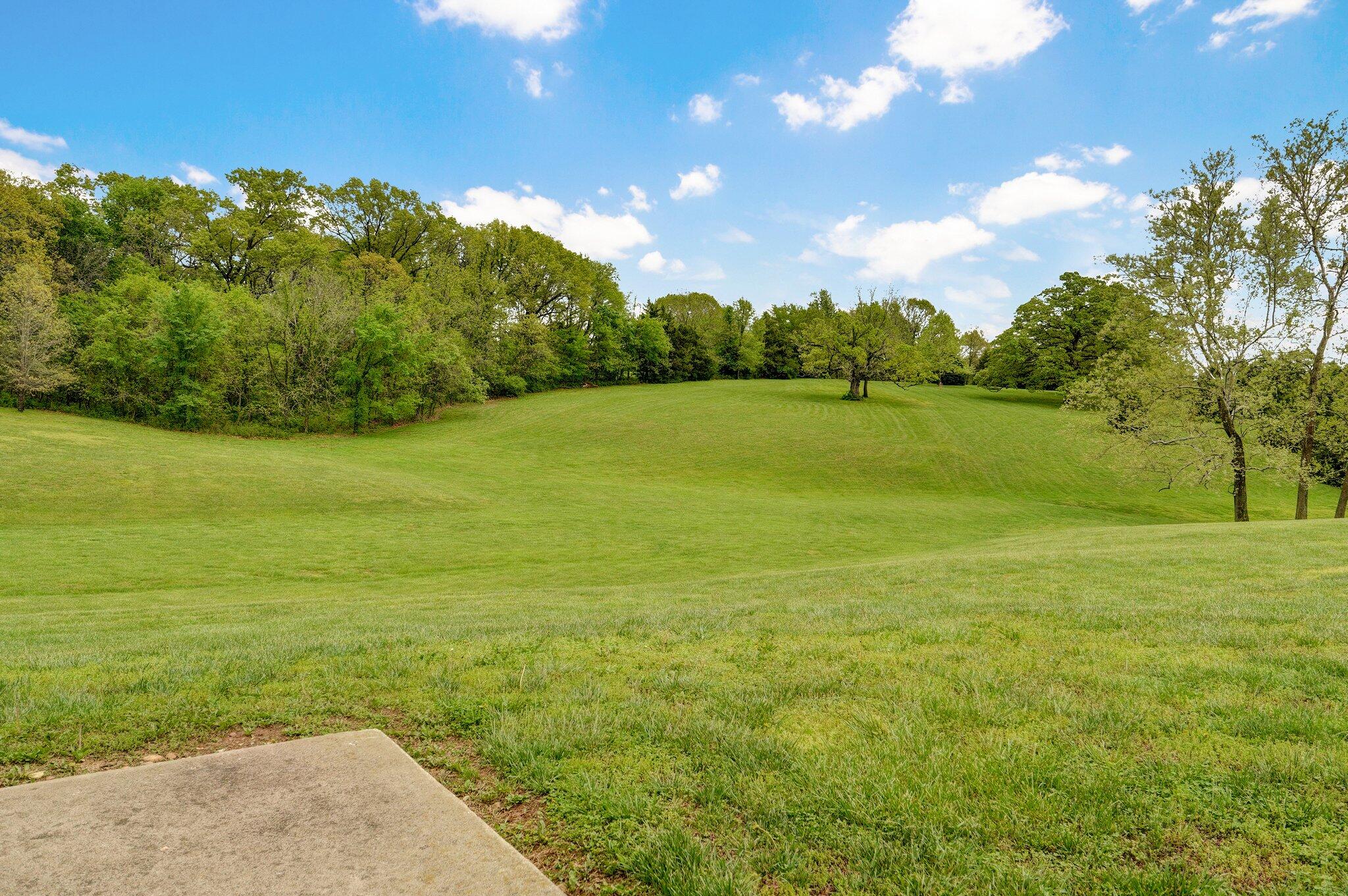 300 Secret Spring Drive Property Photo 51