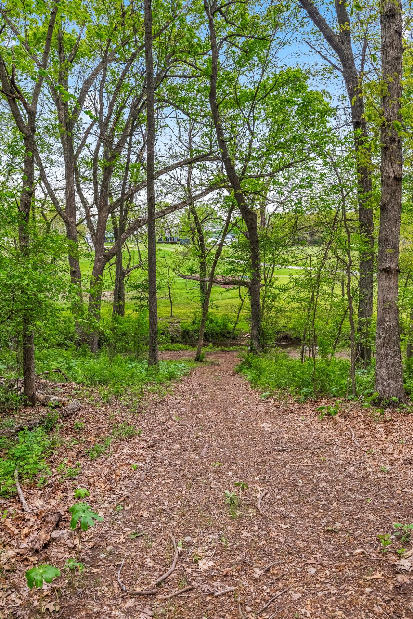 1320 Terrill Creek Road Property Photo 54