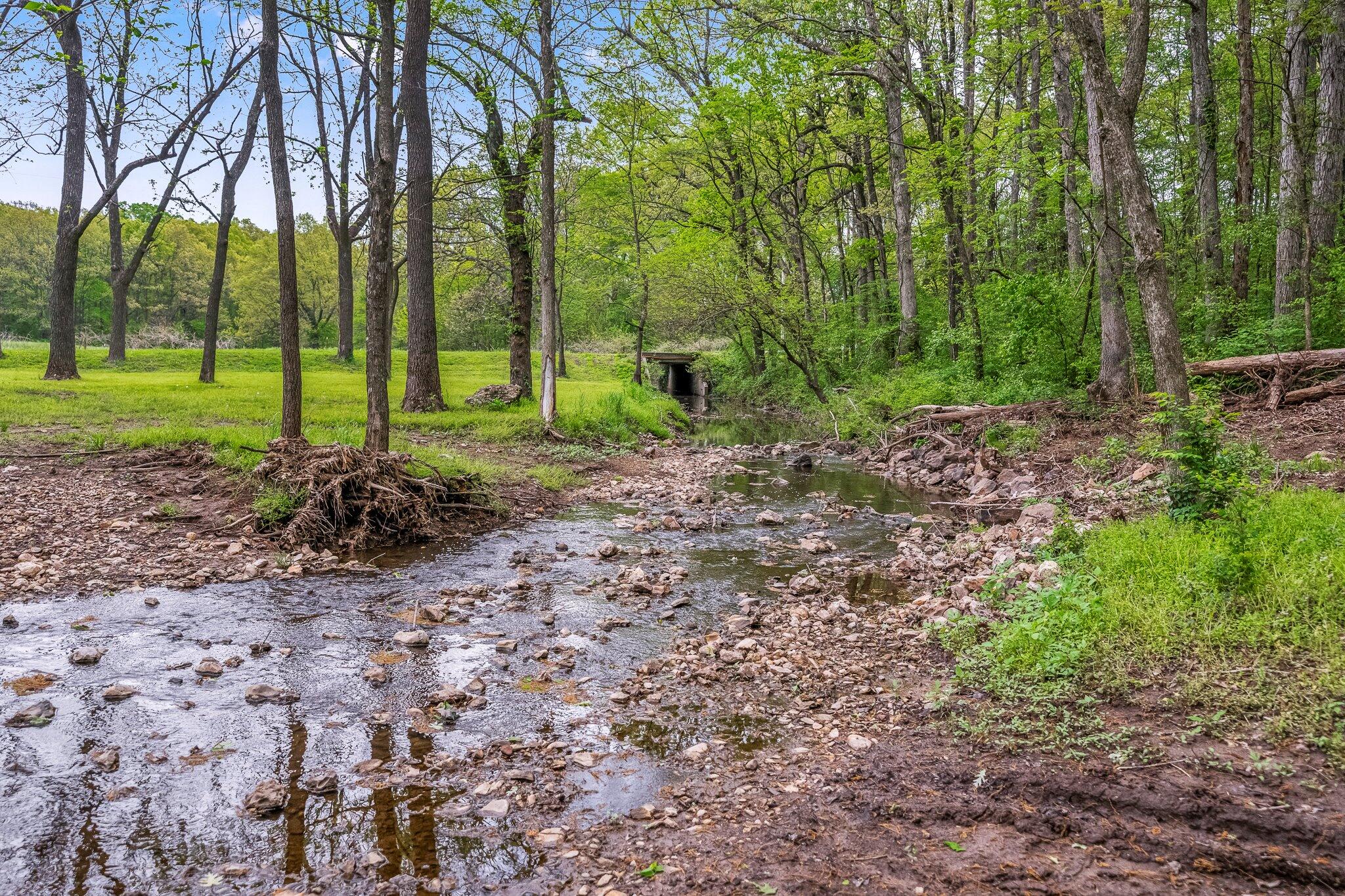 1320 Terrill Creek Road Property Photo 57