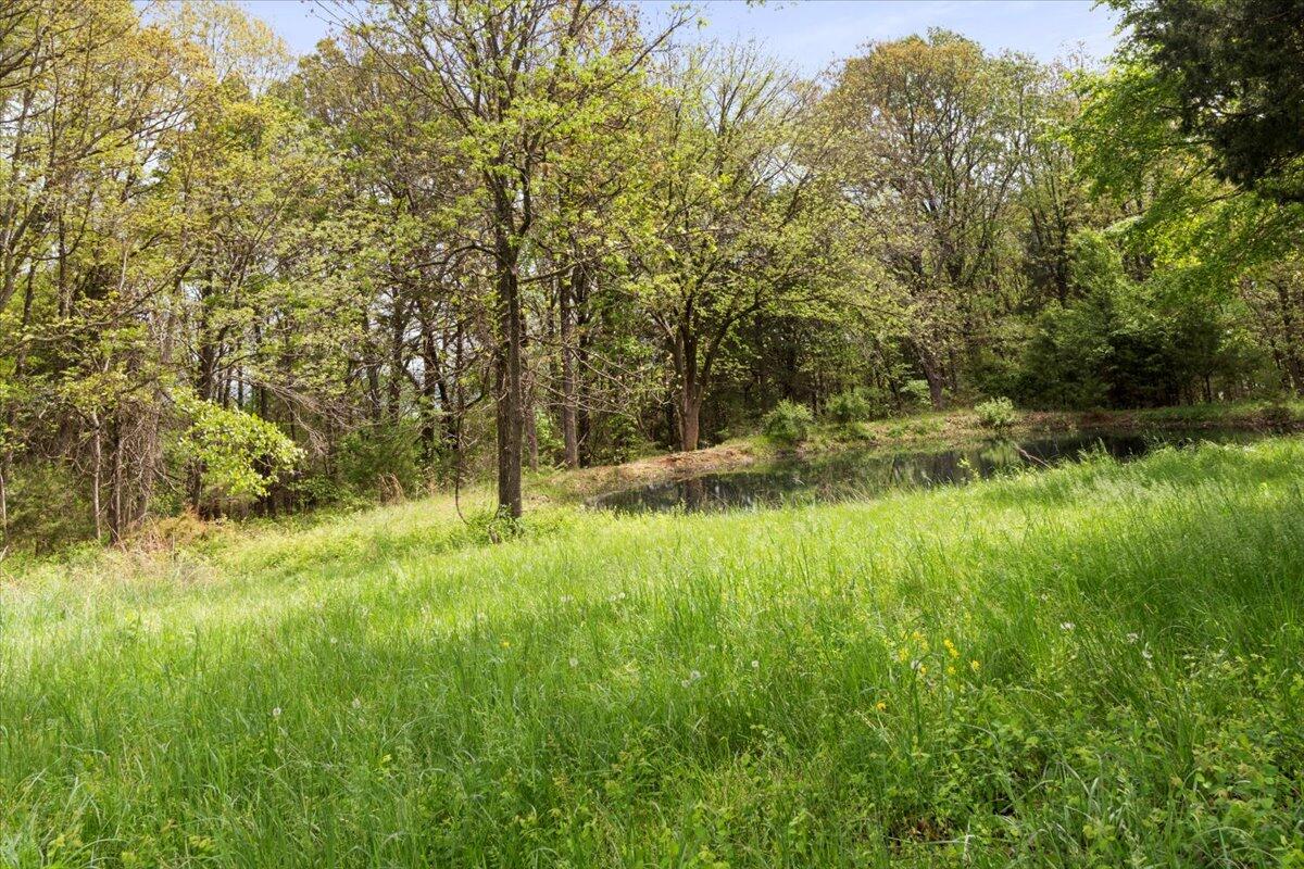 36297 County Road W-260 Property Photo 34