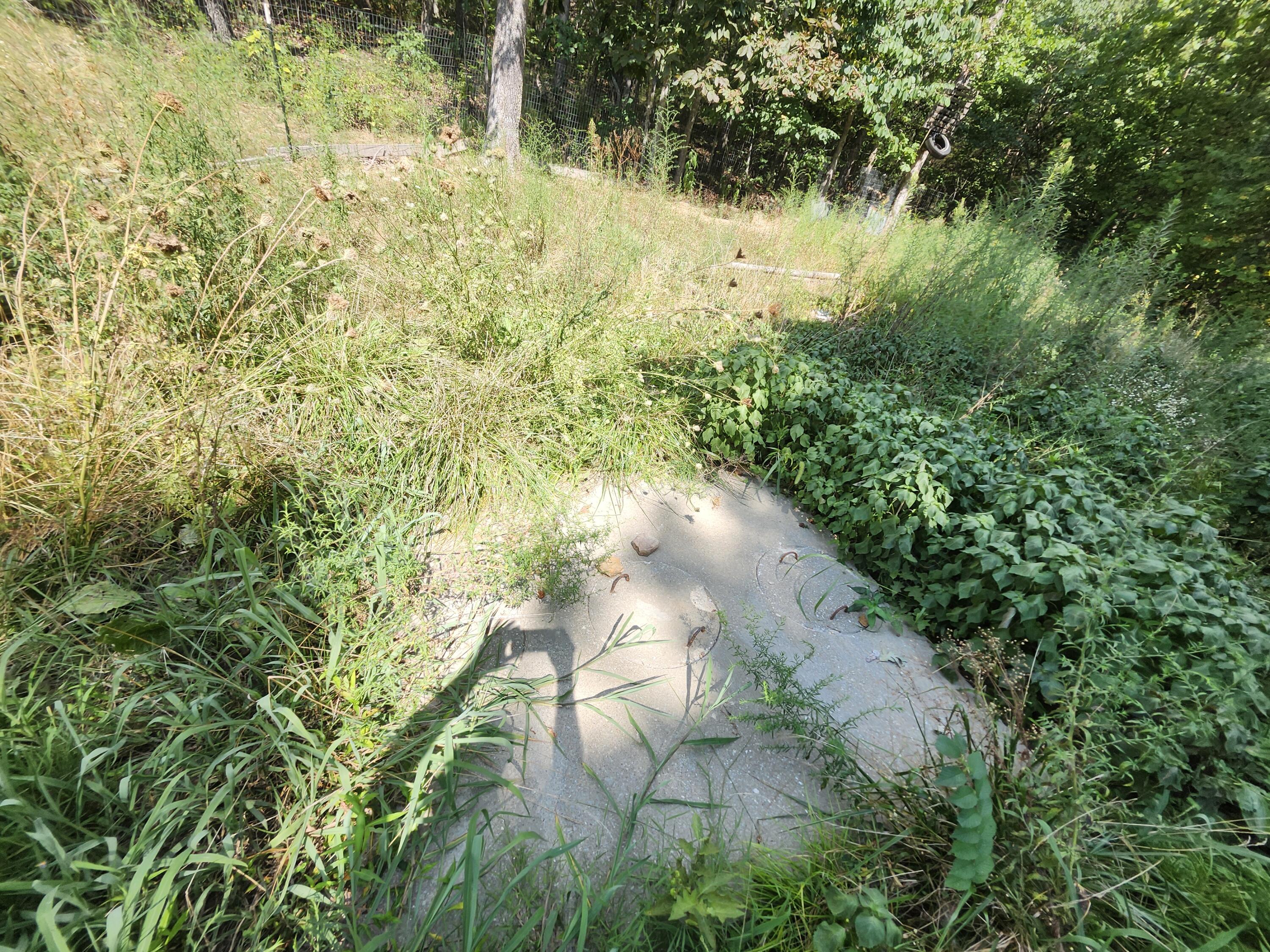 2268 Severs Road Property Photo 2
