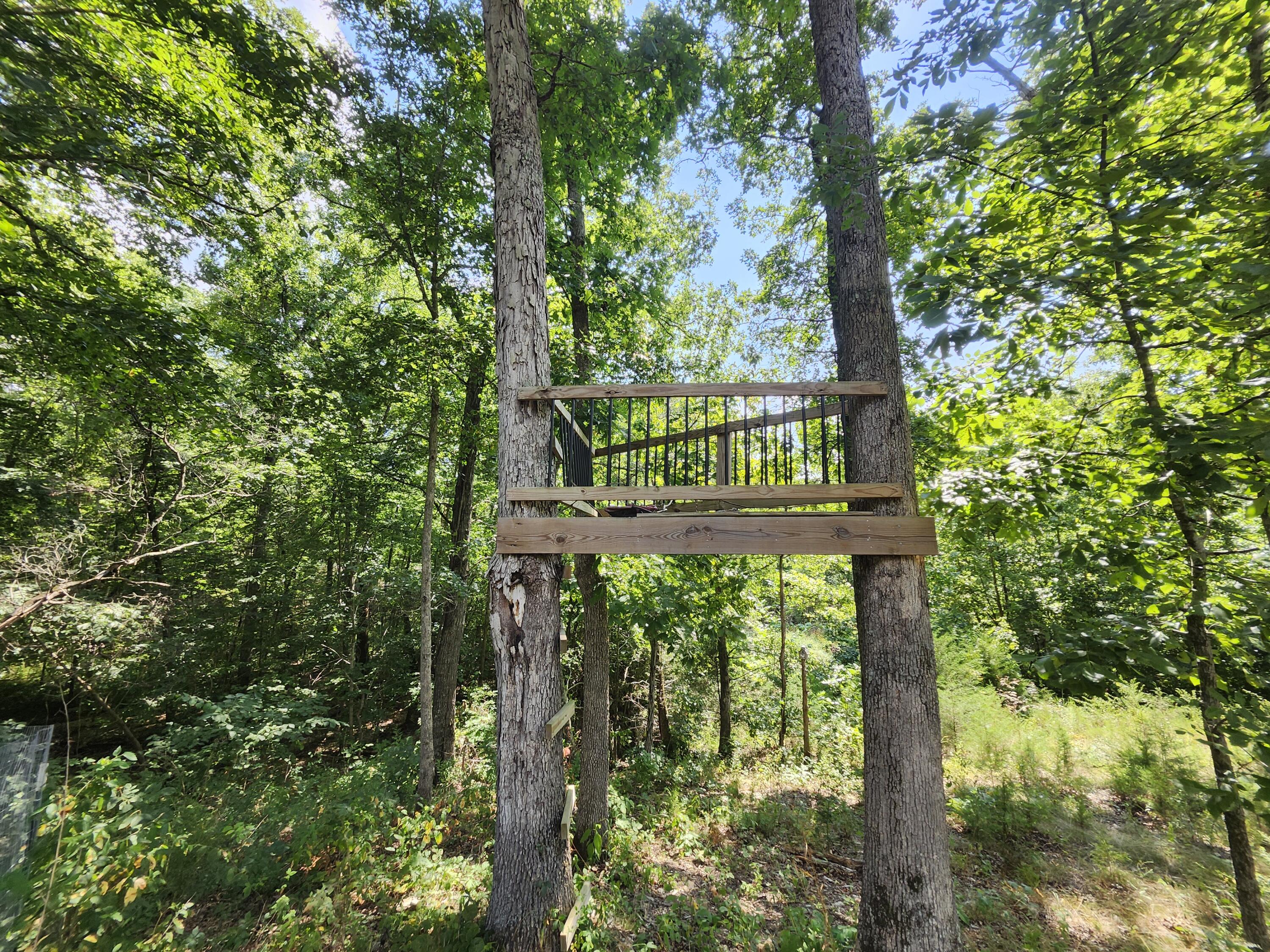 2268 Severs Road Property Photo 9