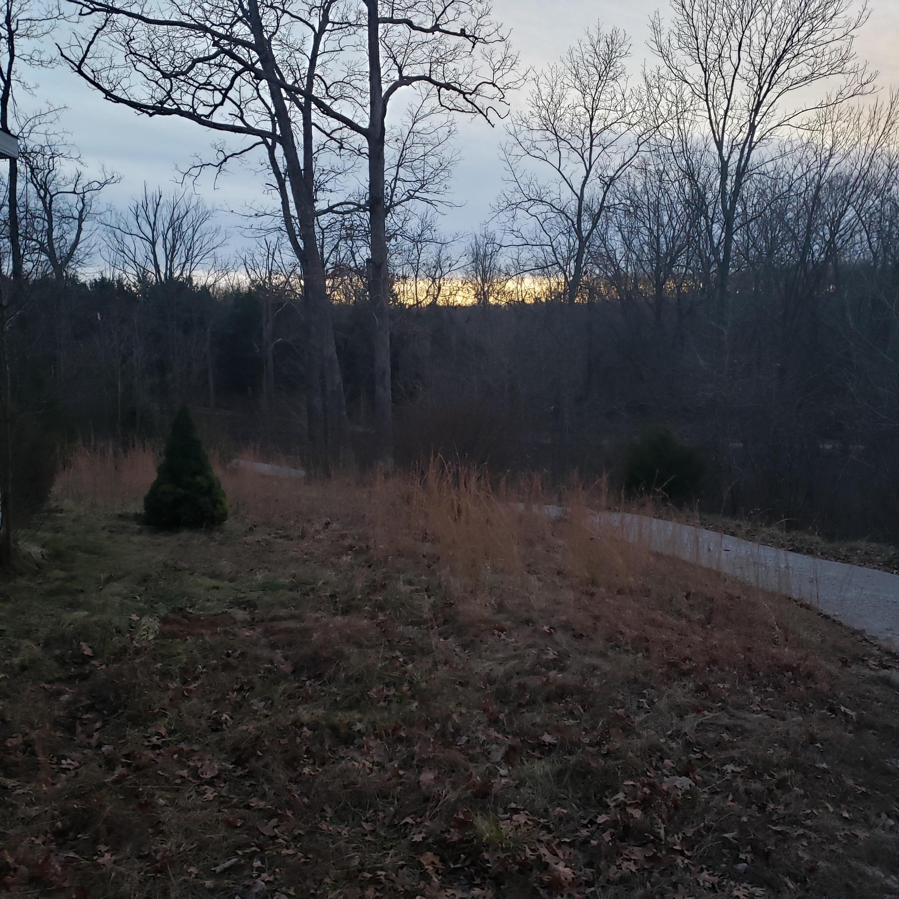 2268 Severs Road Property Photo 19
