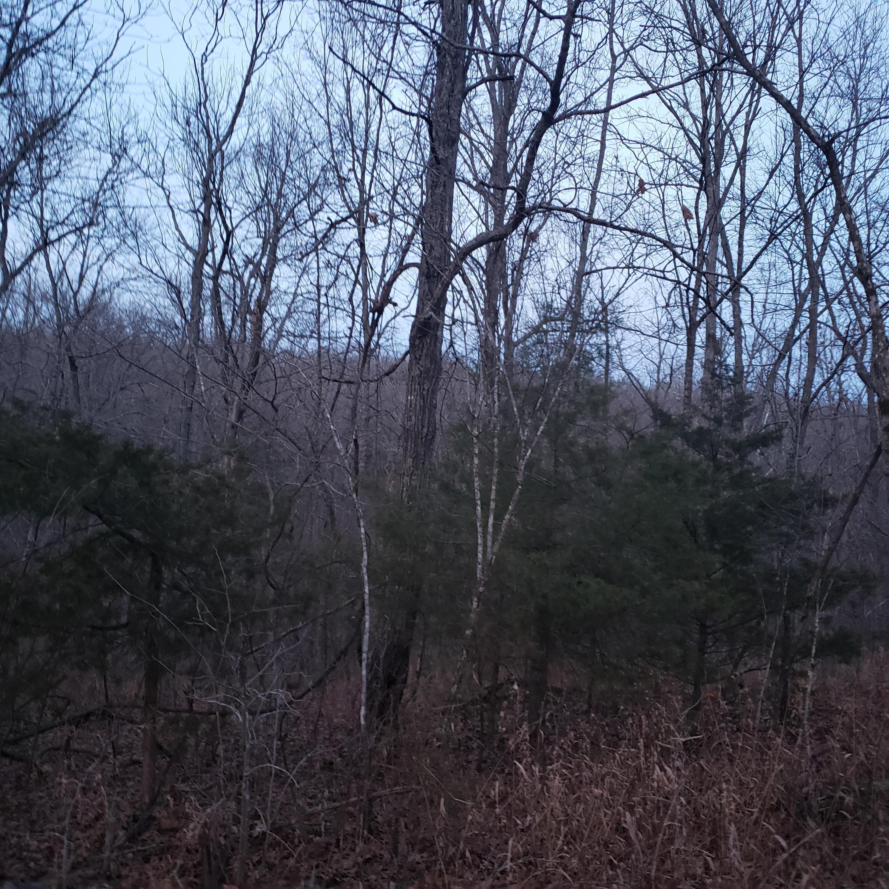 2268 Severs Road Property Photo 20