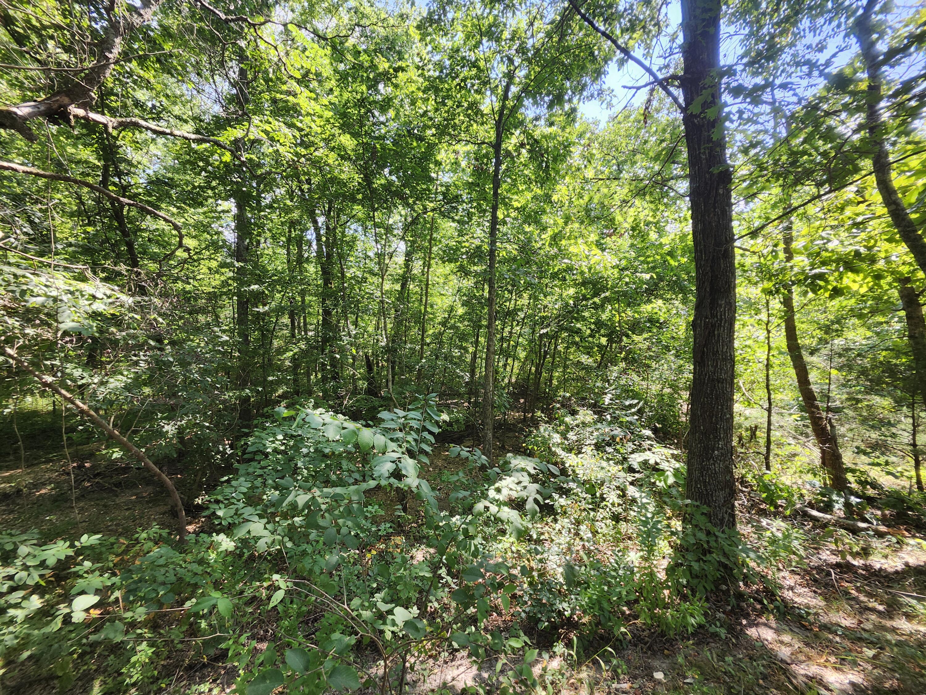 2268 Severs Road Property Photo 33