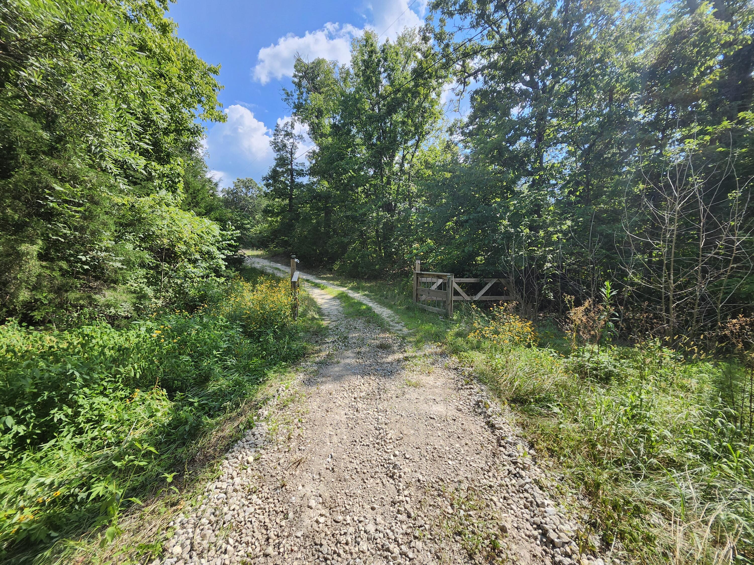 2268 Severs Road Property Photo 35