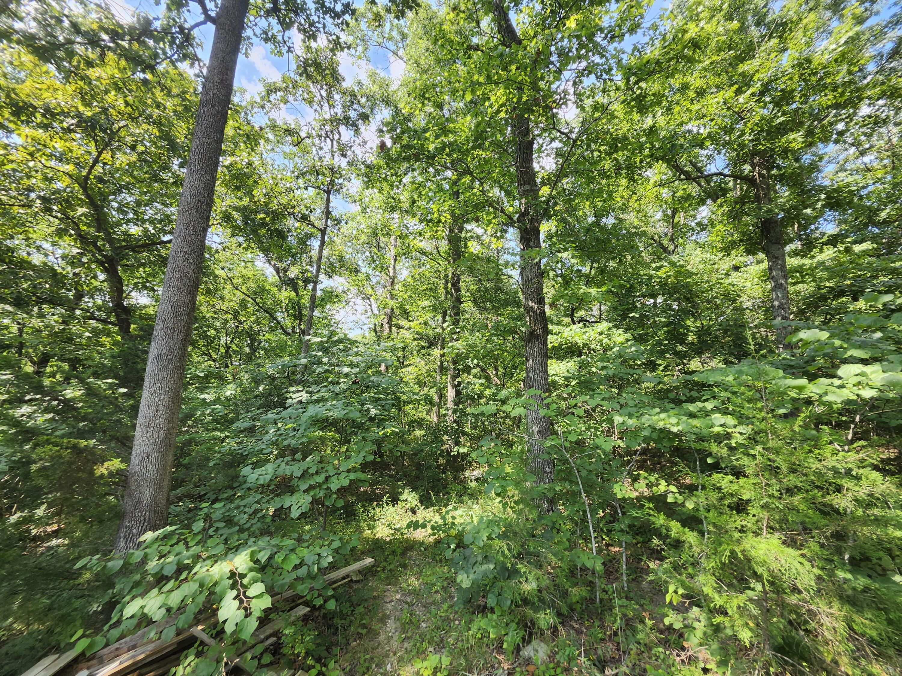 2268 Severs Road Property Photo 38