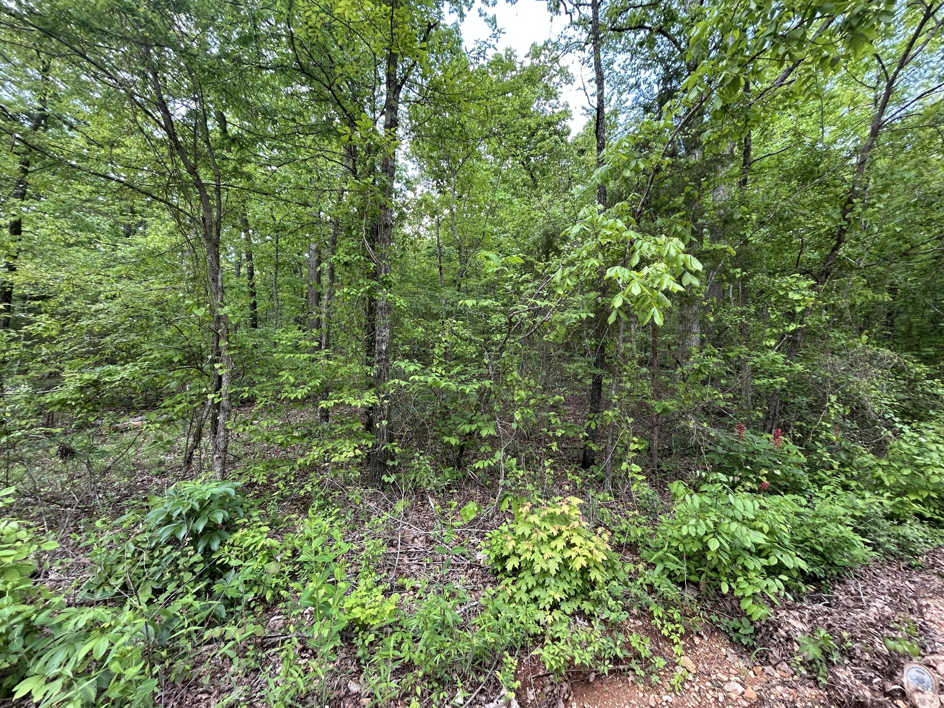 000 River Trace Lane Property Photo