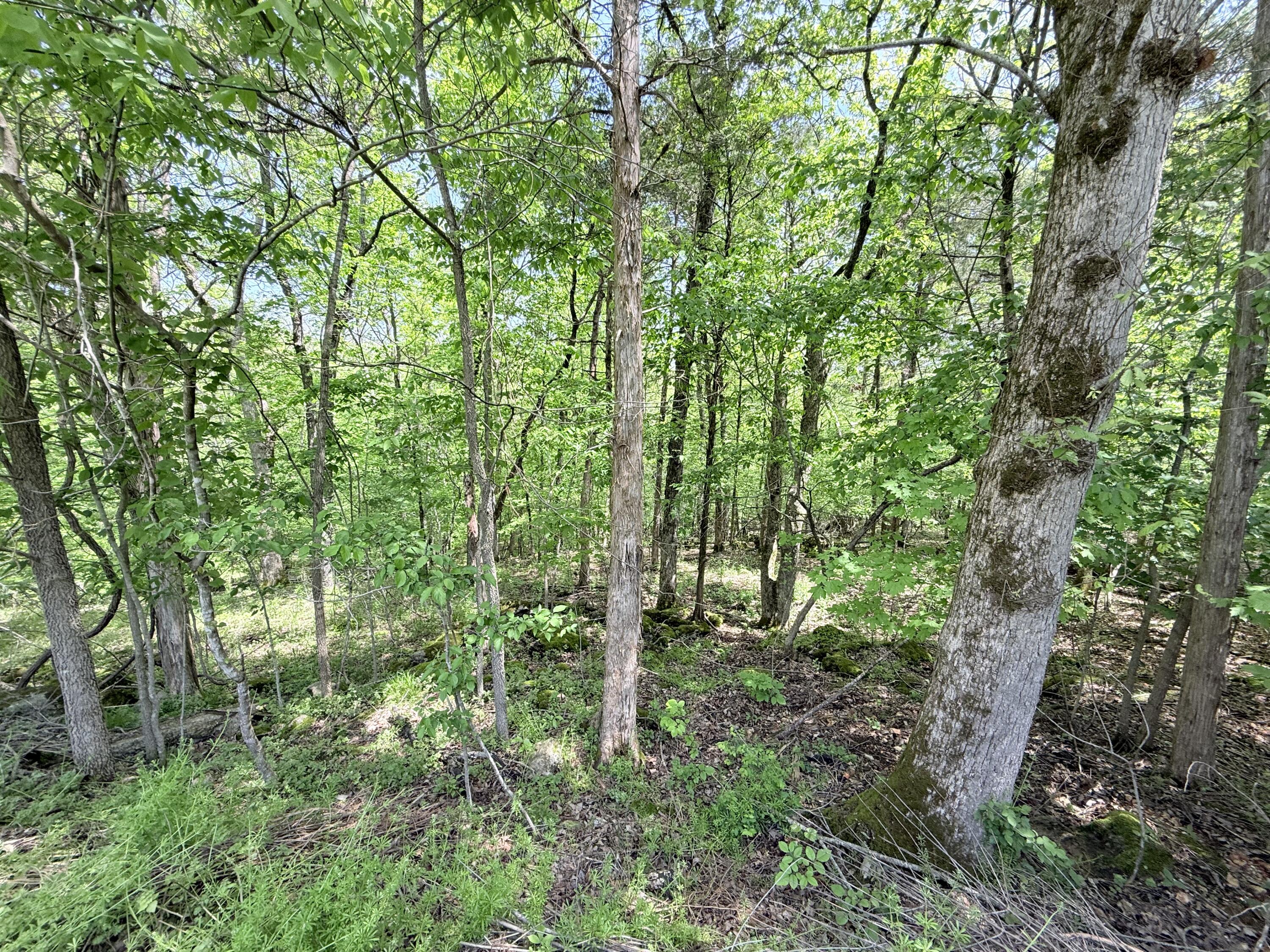 575 Oakside Ridge Property Photo 23