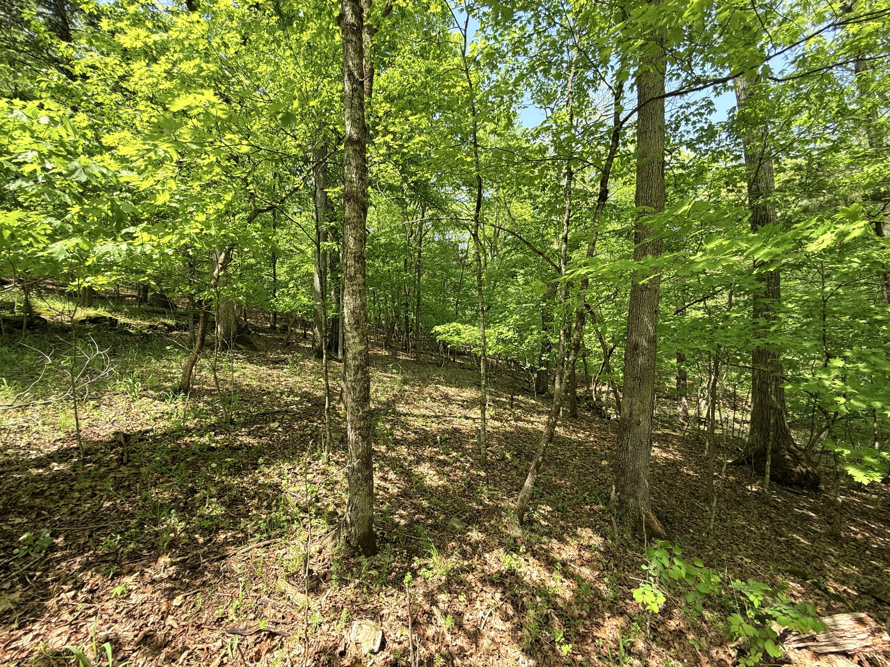 575 Oakside Ridge Property Photo 26