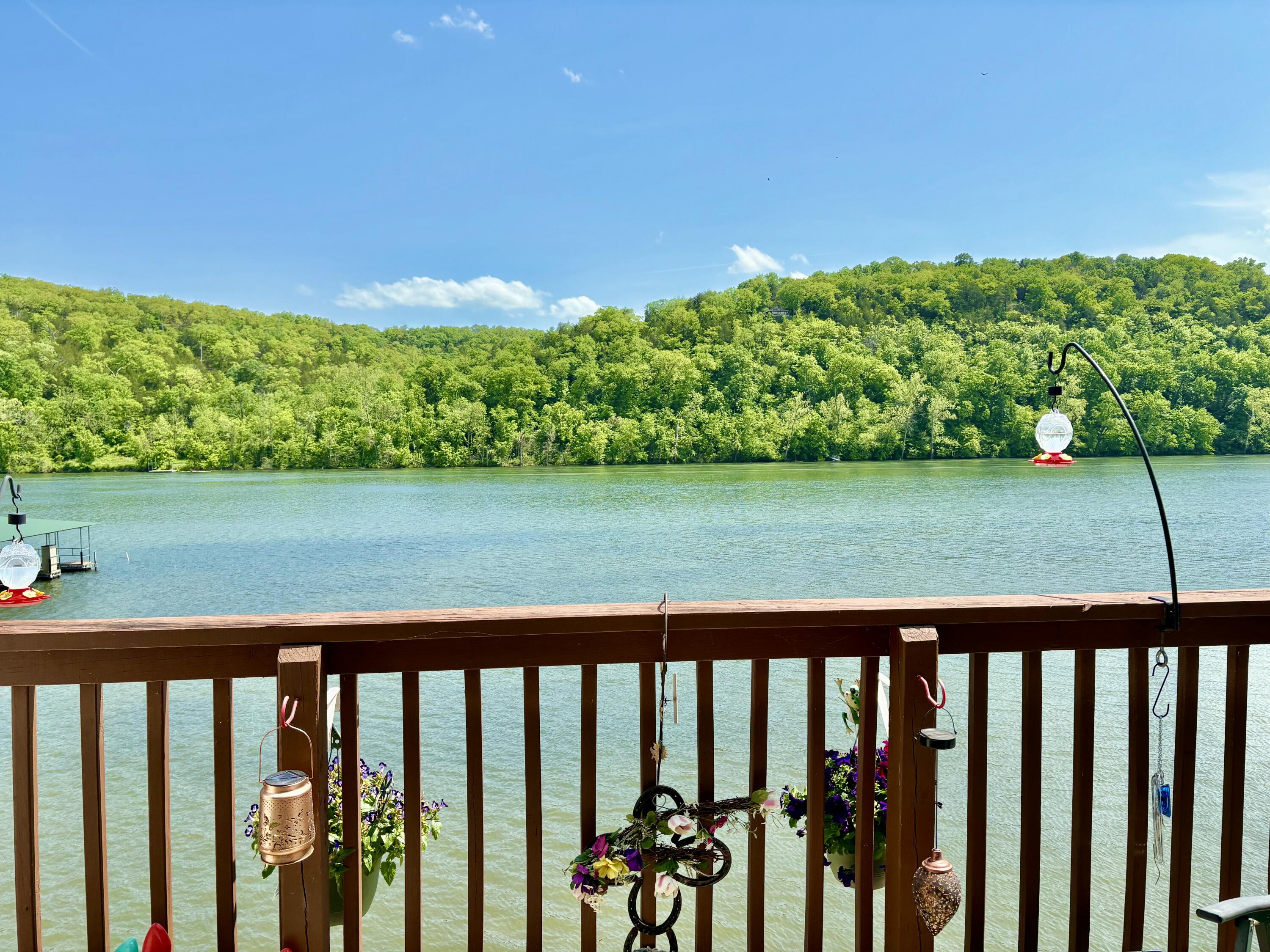 2529 State Highway 176 Property Photo 11