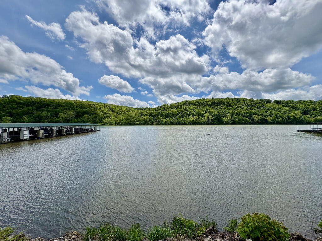 2529 State Highway 176 Property Photo 46