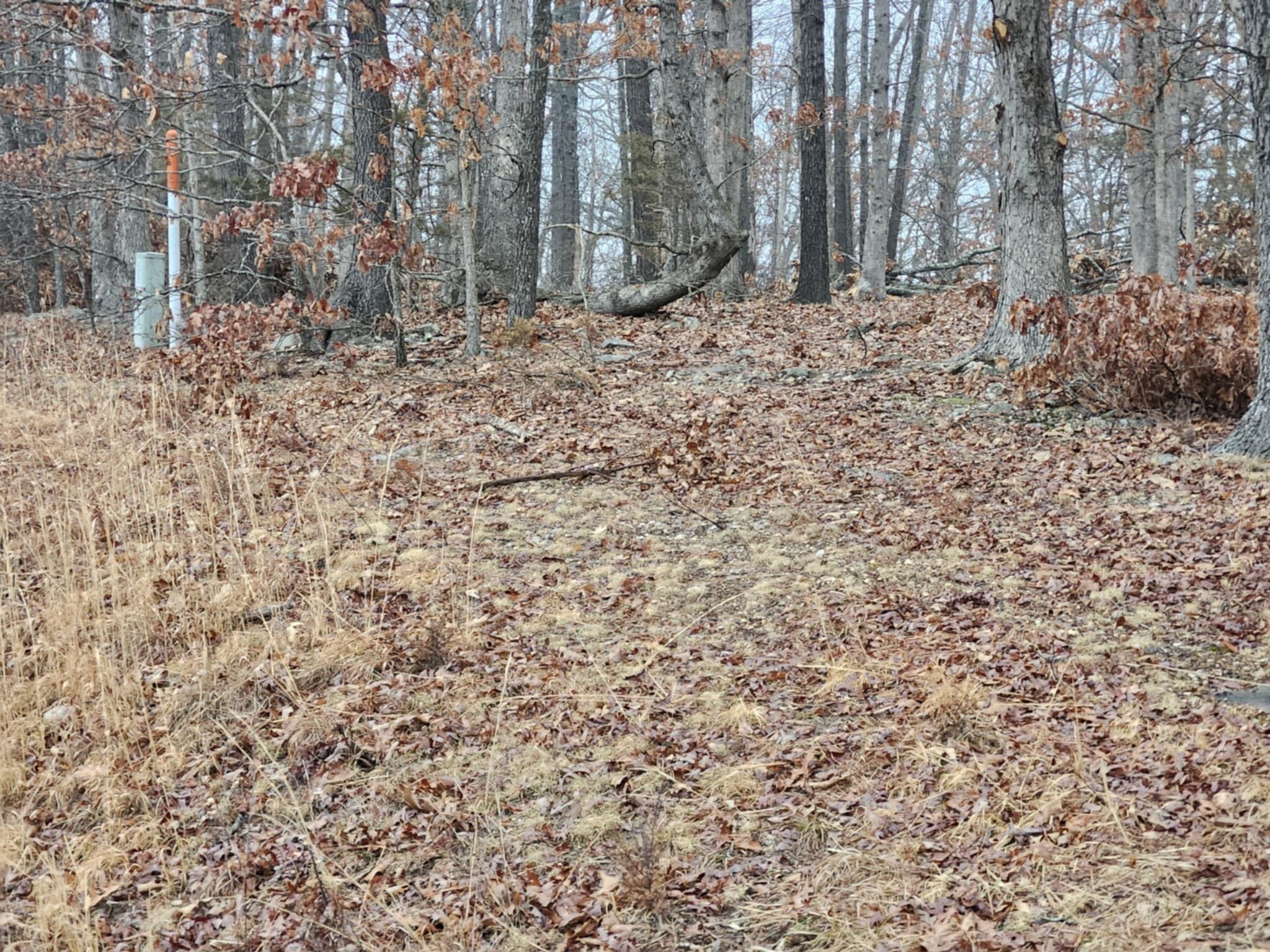 Tbd Highway E Property Photo