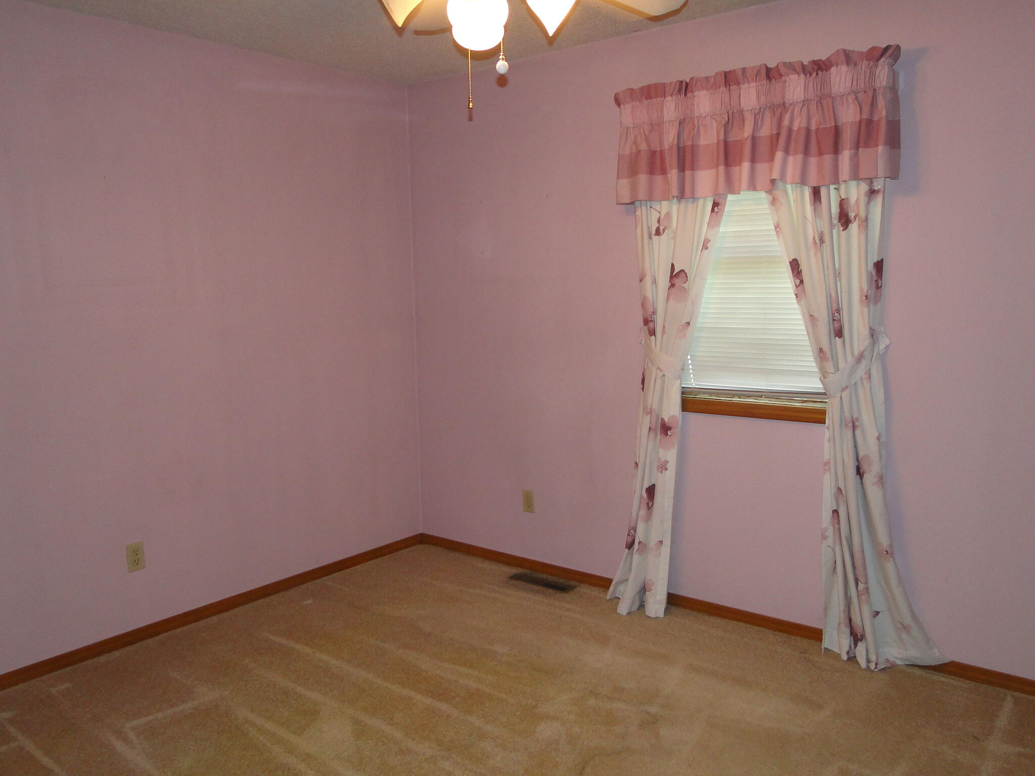 1803 Palmer St. Property Photo 7