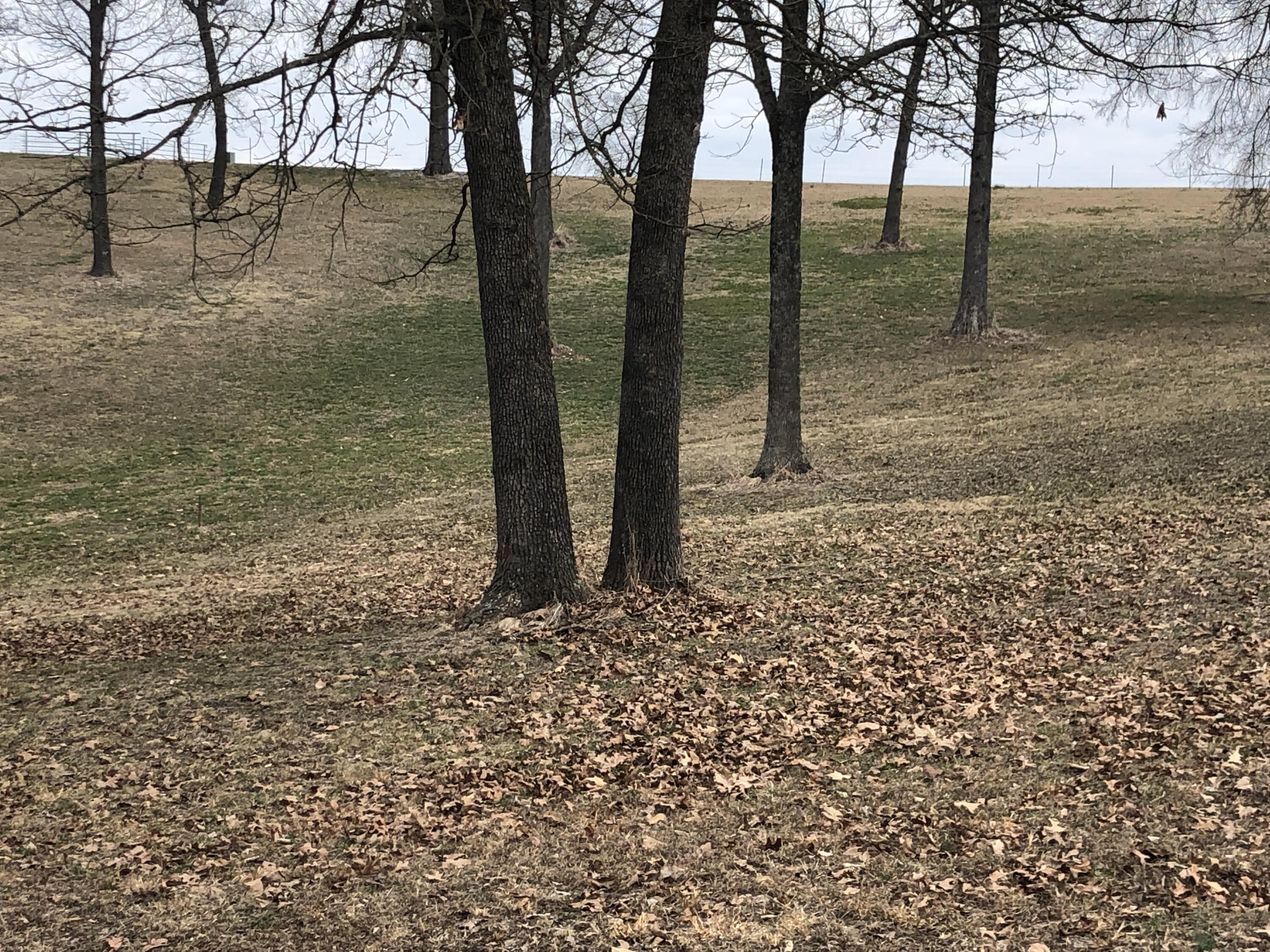 000 Sunset Lane Property Photo 13