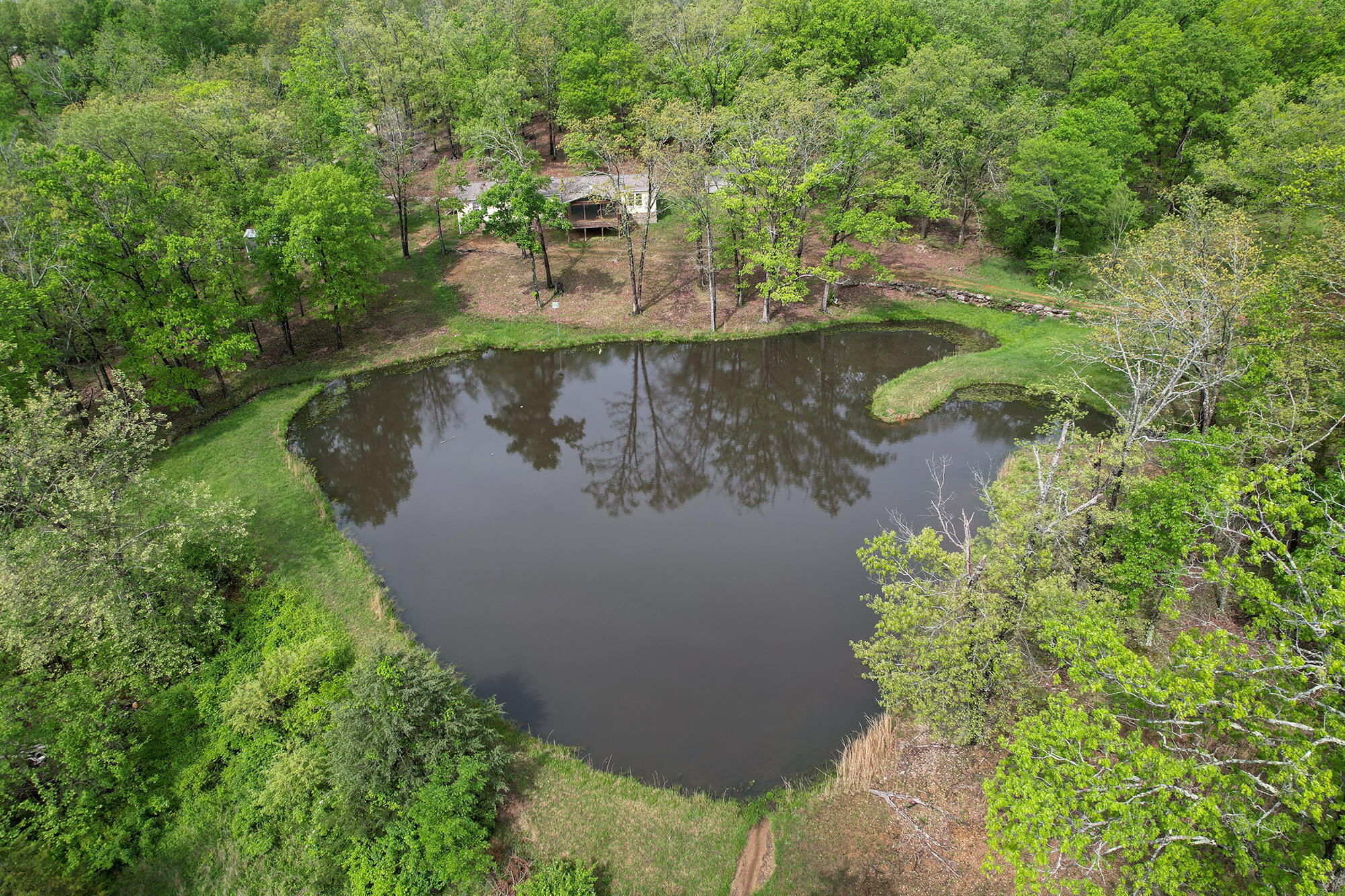 10506 Dogwood Road Property Photo 6