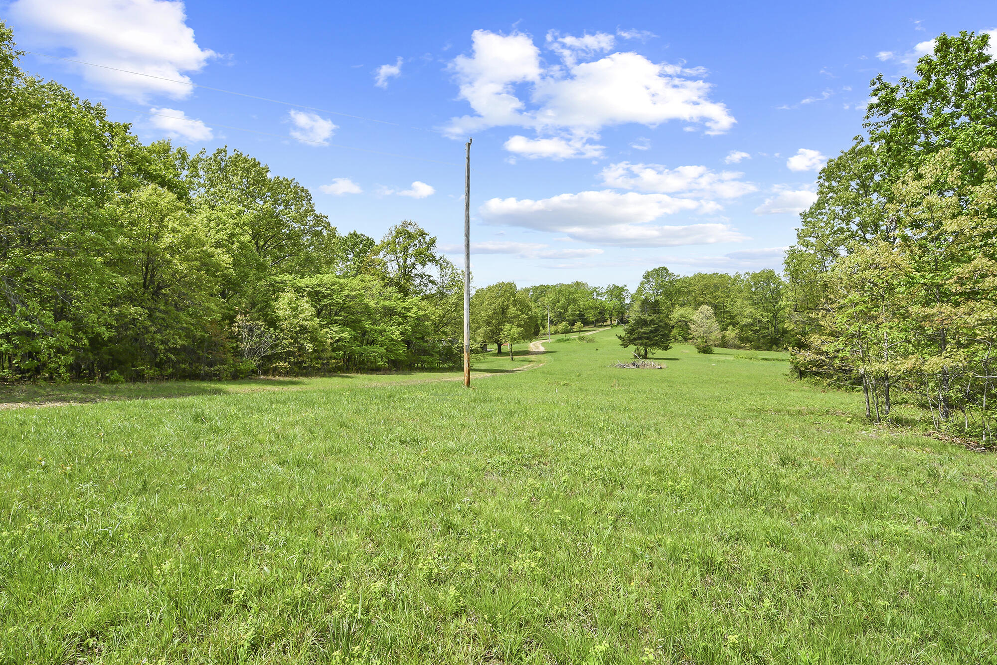 10506 Dogwood Road Property Photo 58