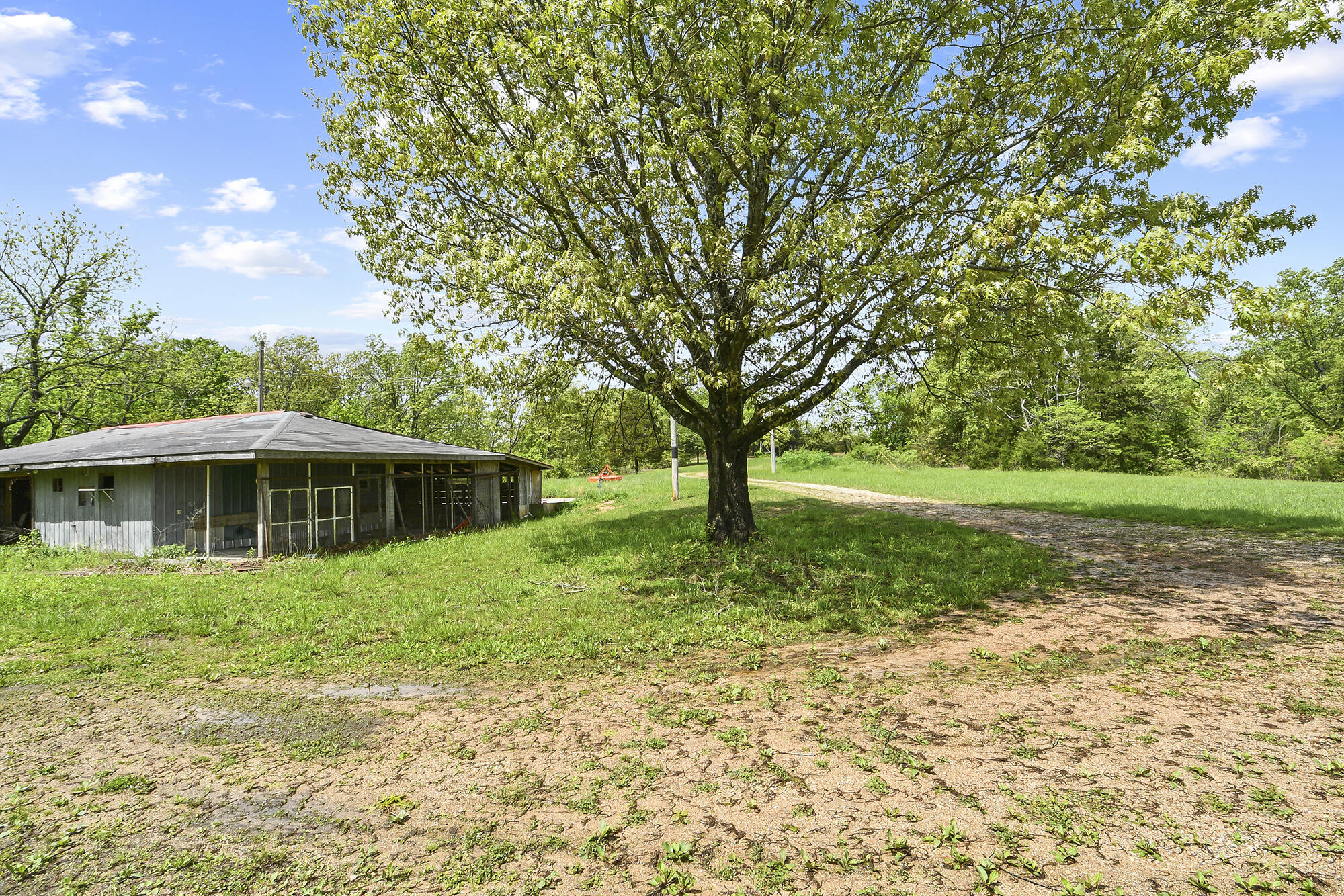 10506 Dogwood Road Property Photo 59