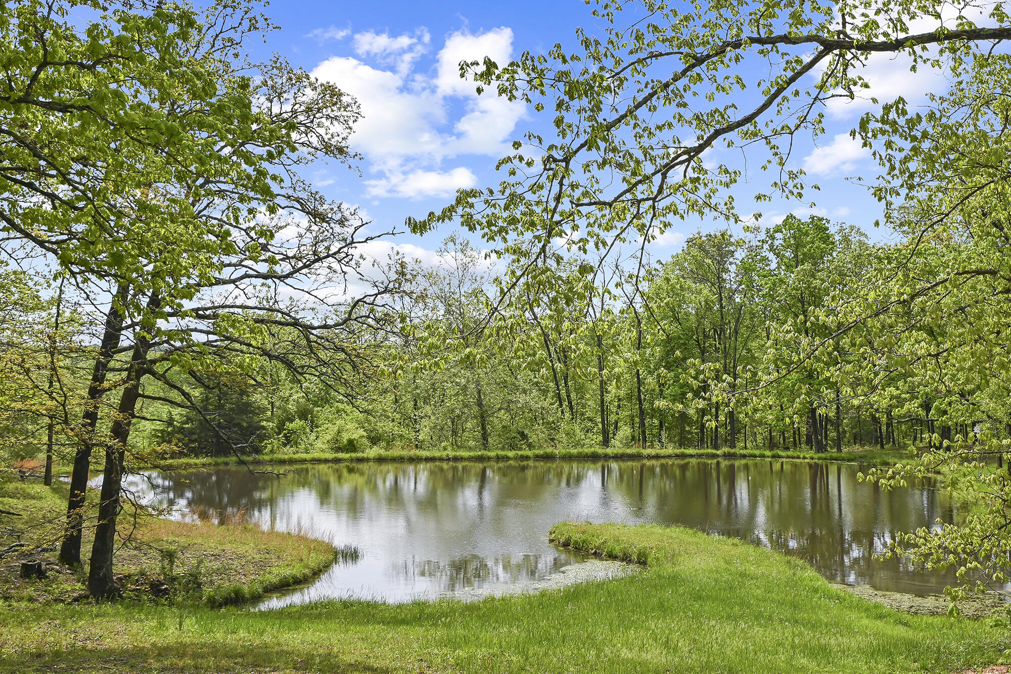 10506 Dogwood Road Property Photo 64