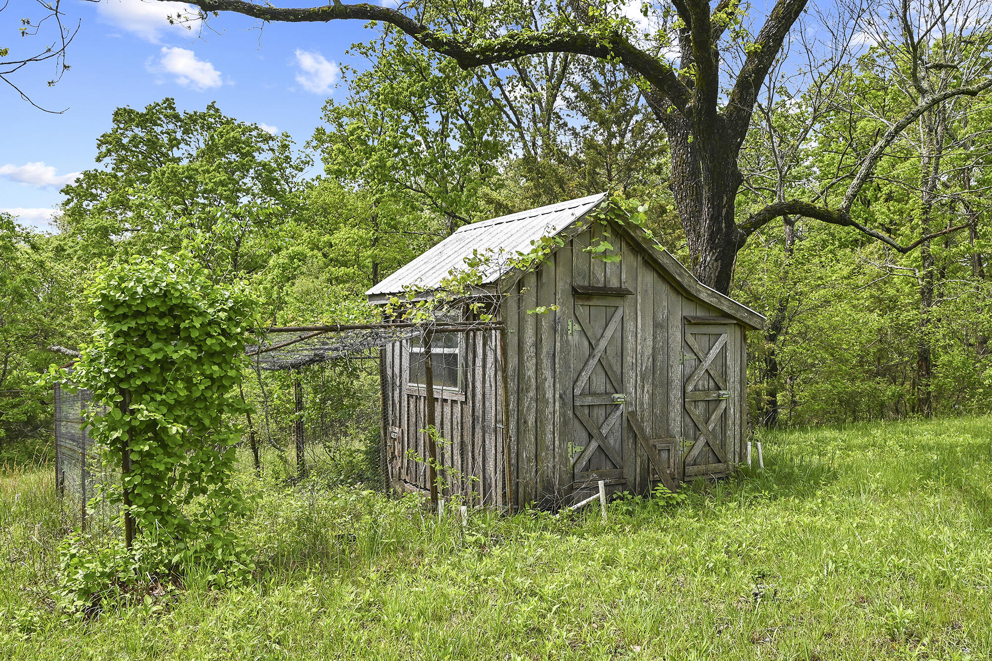 10506 Dogwood Road Property Photo 65