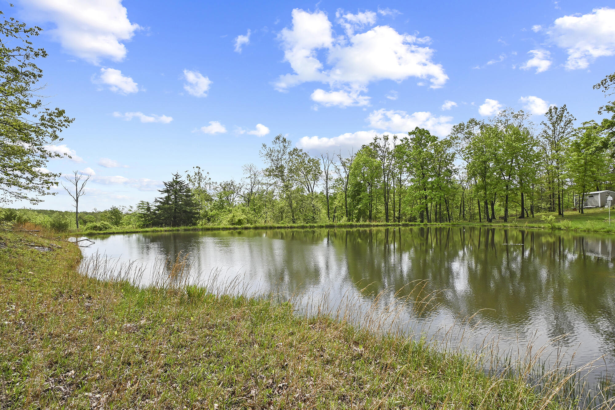 10506 Dogwood Road Property Photo 66