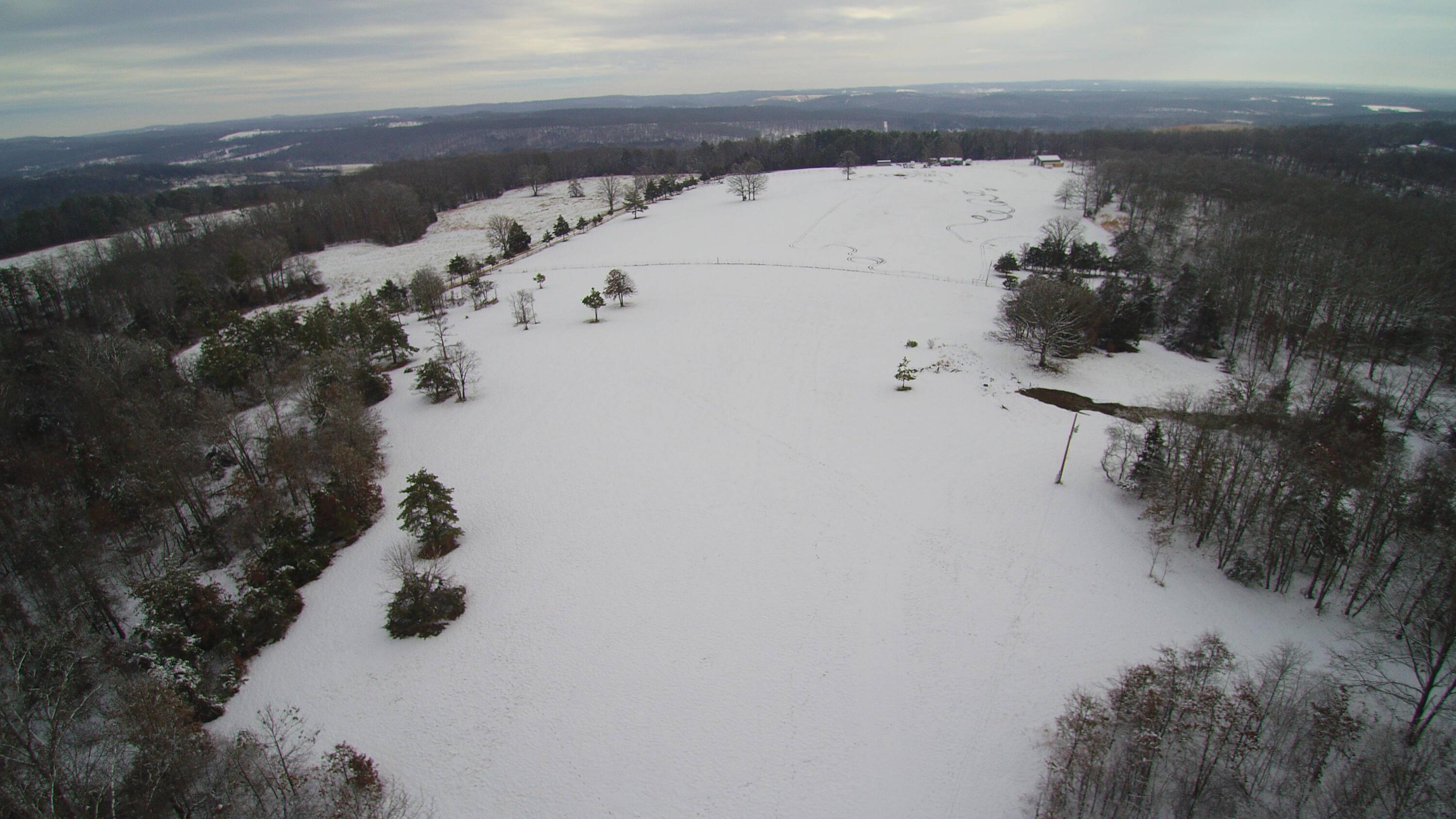 10506 Dogwood Road Property Photo 81