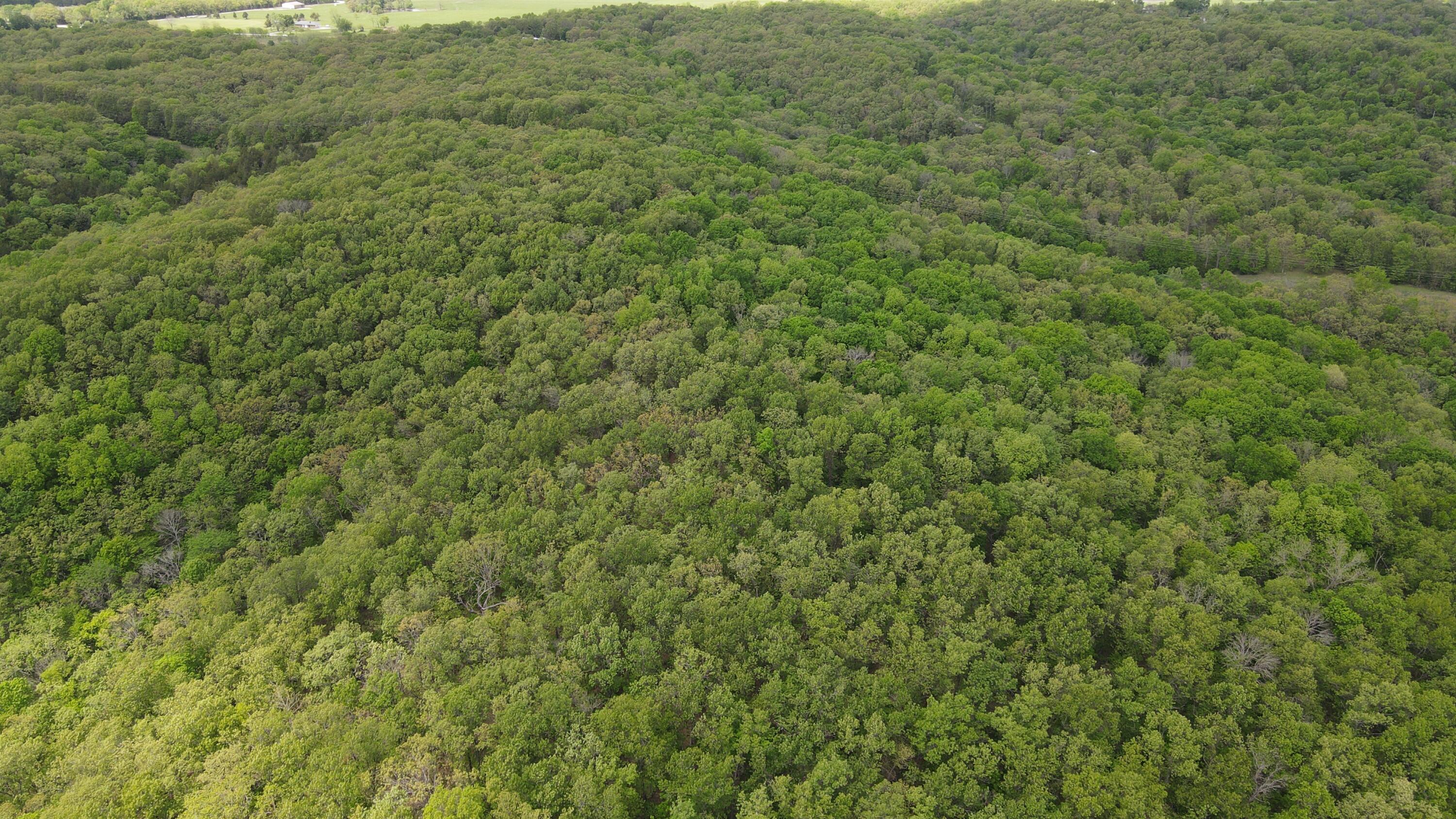 Tbd Southeast 1121 Road Property Photo 3