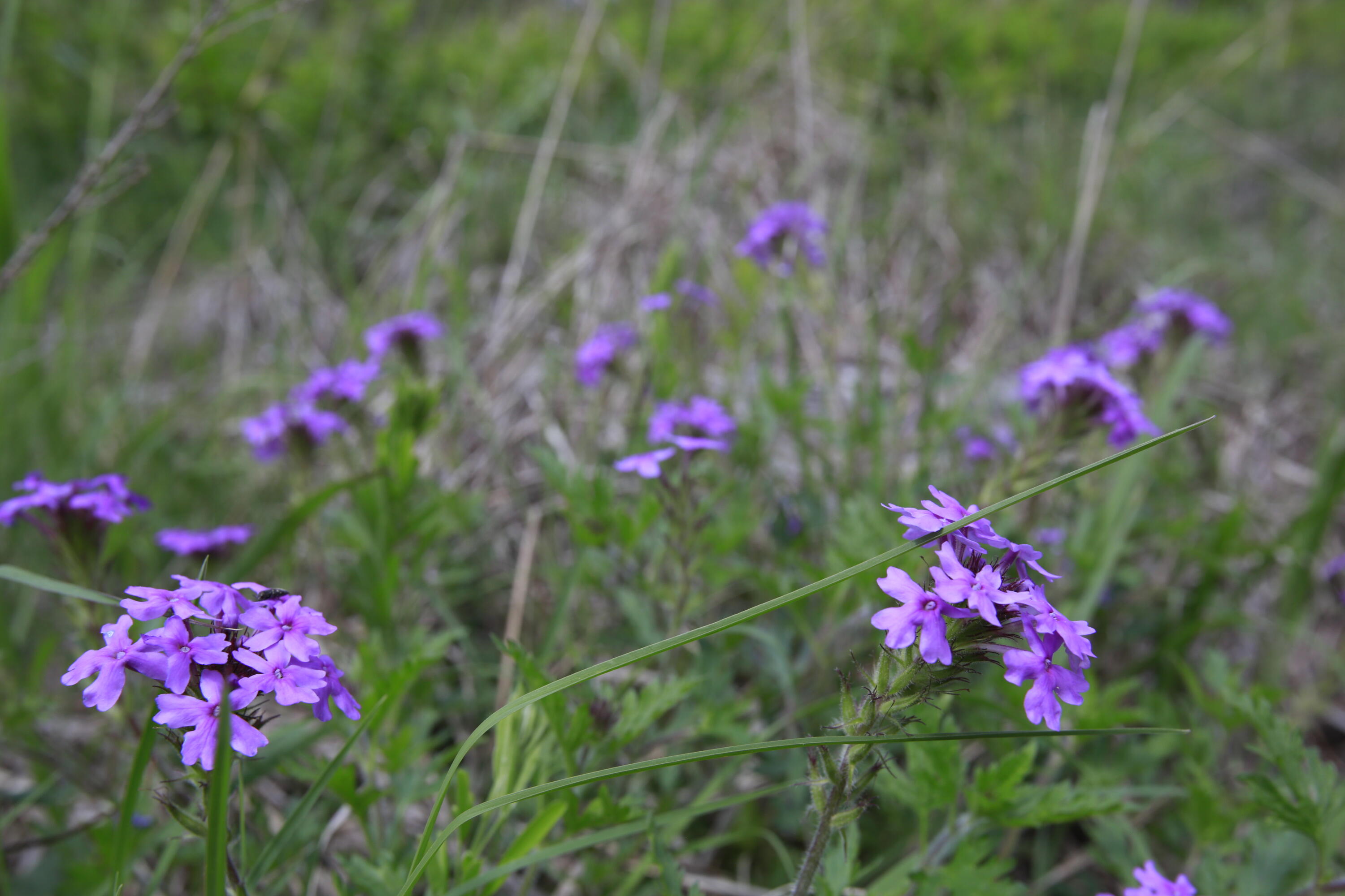 Tbd Southeast 1121 Road Property Photo 8