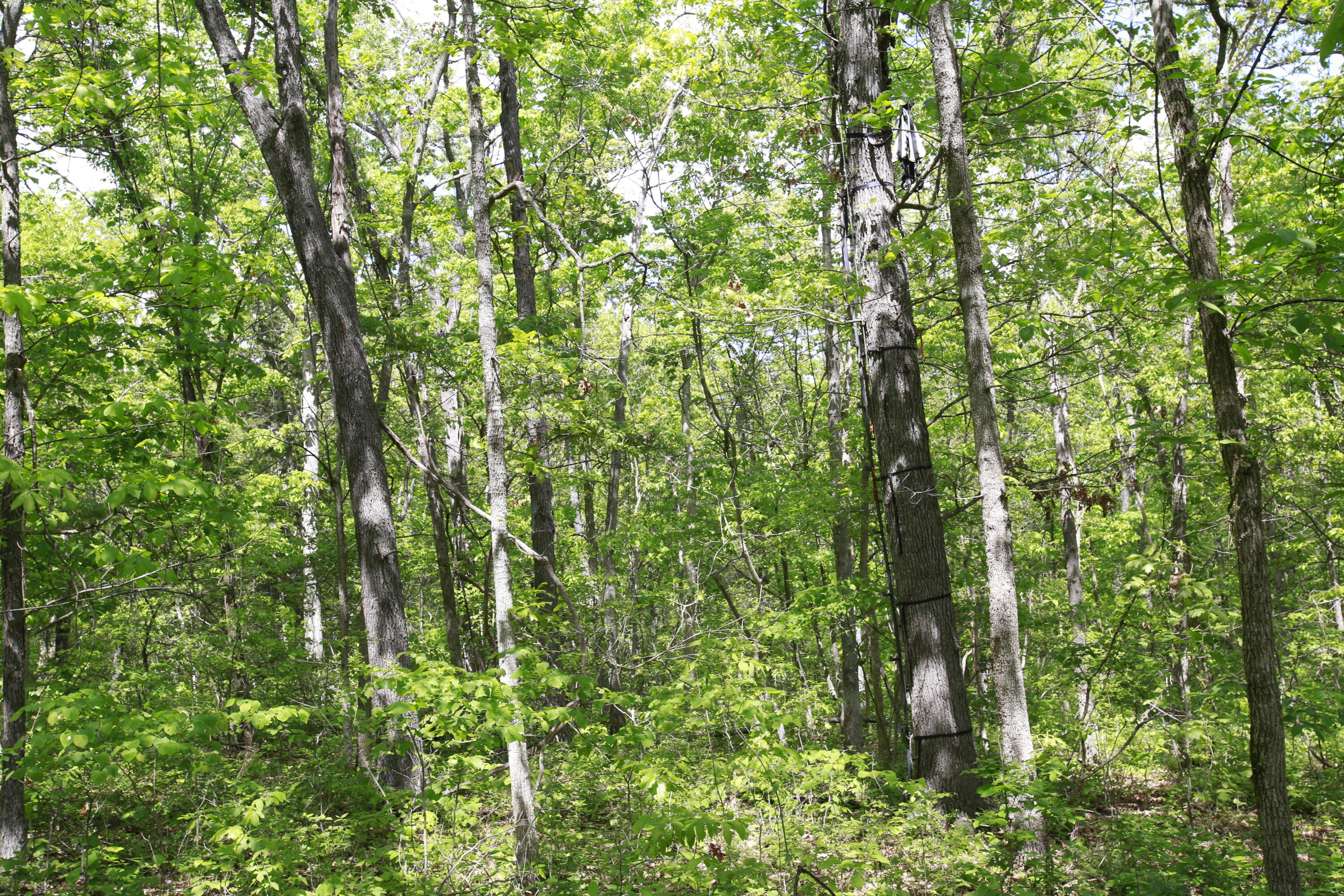 Tbd Southeast 1121 Road Property Photo 10